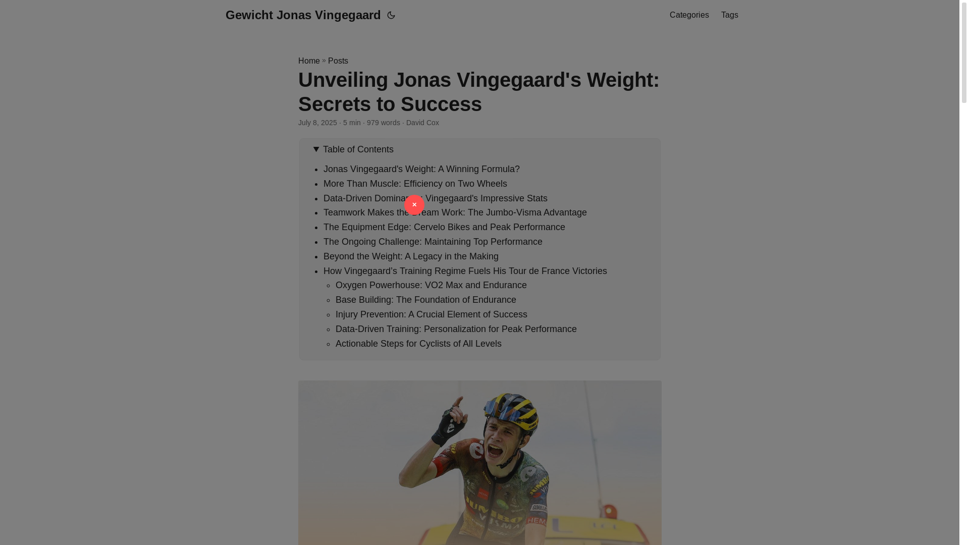 website screenshot of https://gewicht-jonas-vingegaard.pages.dev/