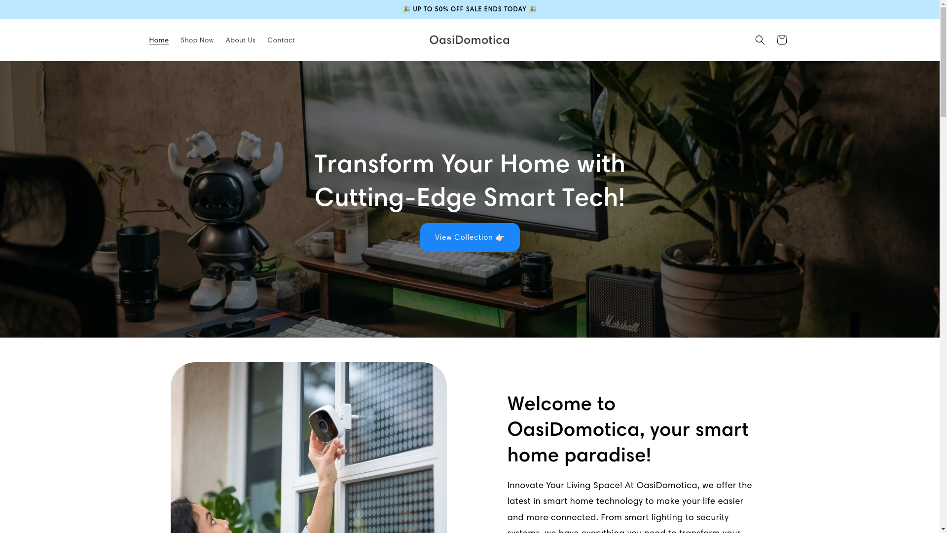website screenshot of https://oasidomotica.it/