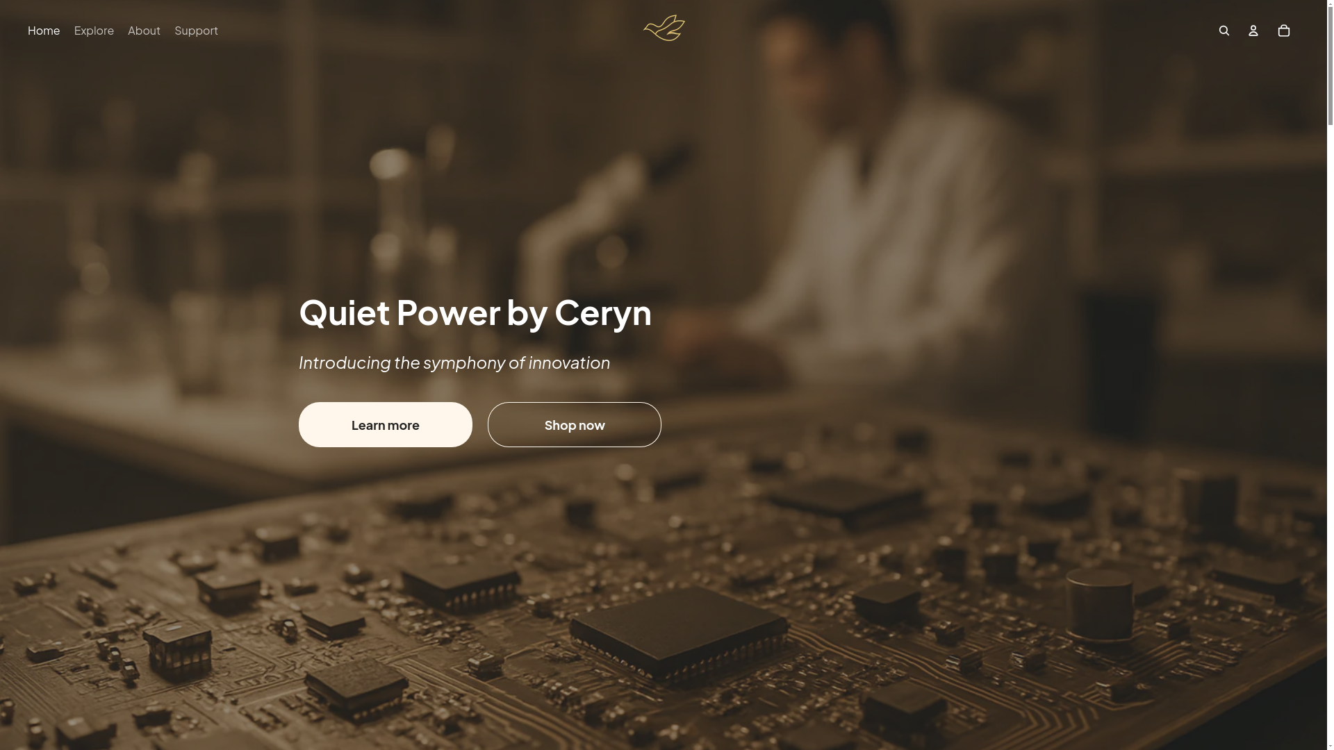 website screenshot of https://myceryn.com/