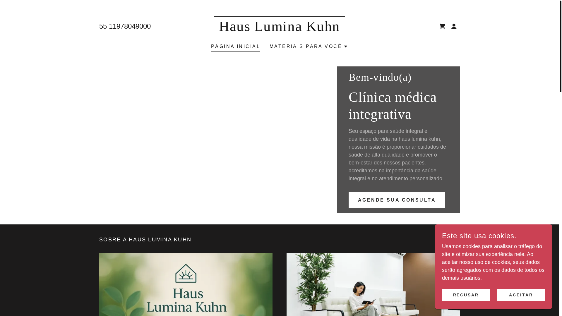 website screenshot of https://hausluminakuhn.com.br/