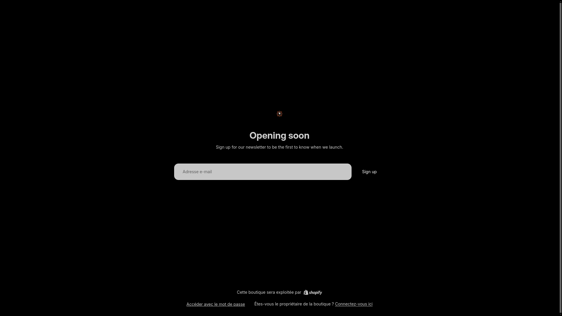 website screenshot of https://chezliloustore.com/