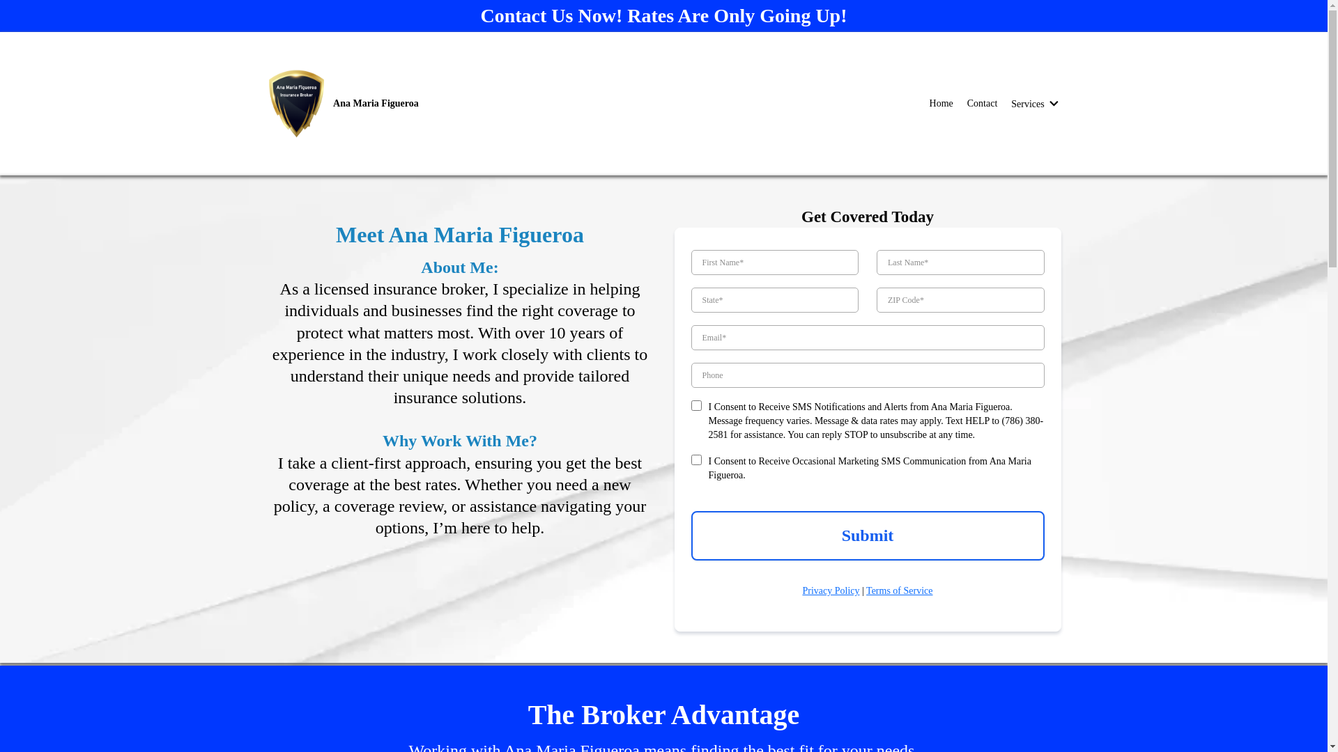 website screenshot of https://anafigueroa.org/