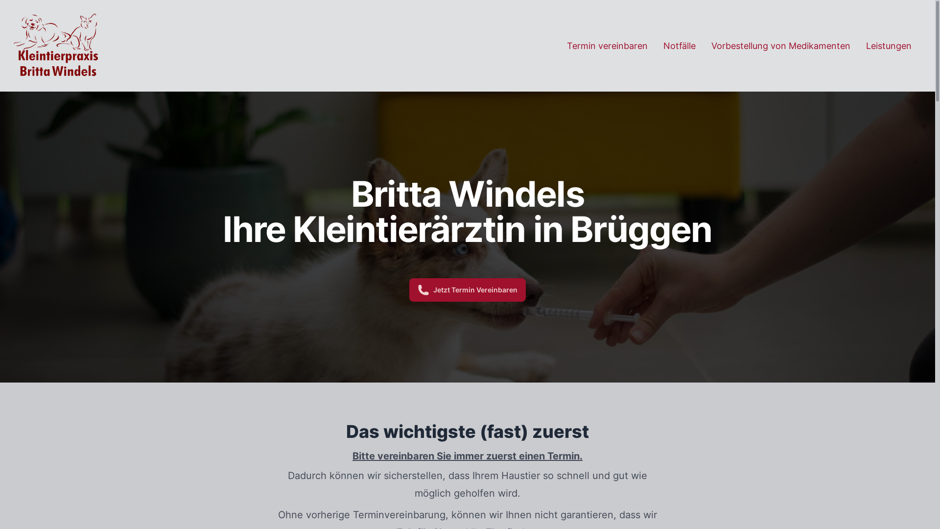 website screenshot of https://brittawindels.pages.dev/