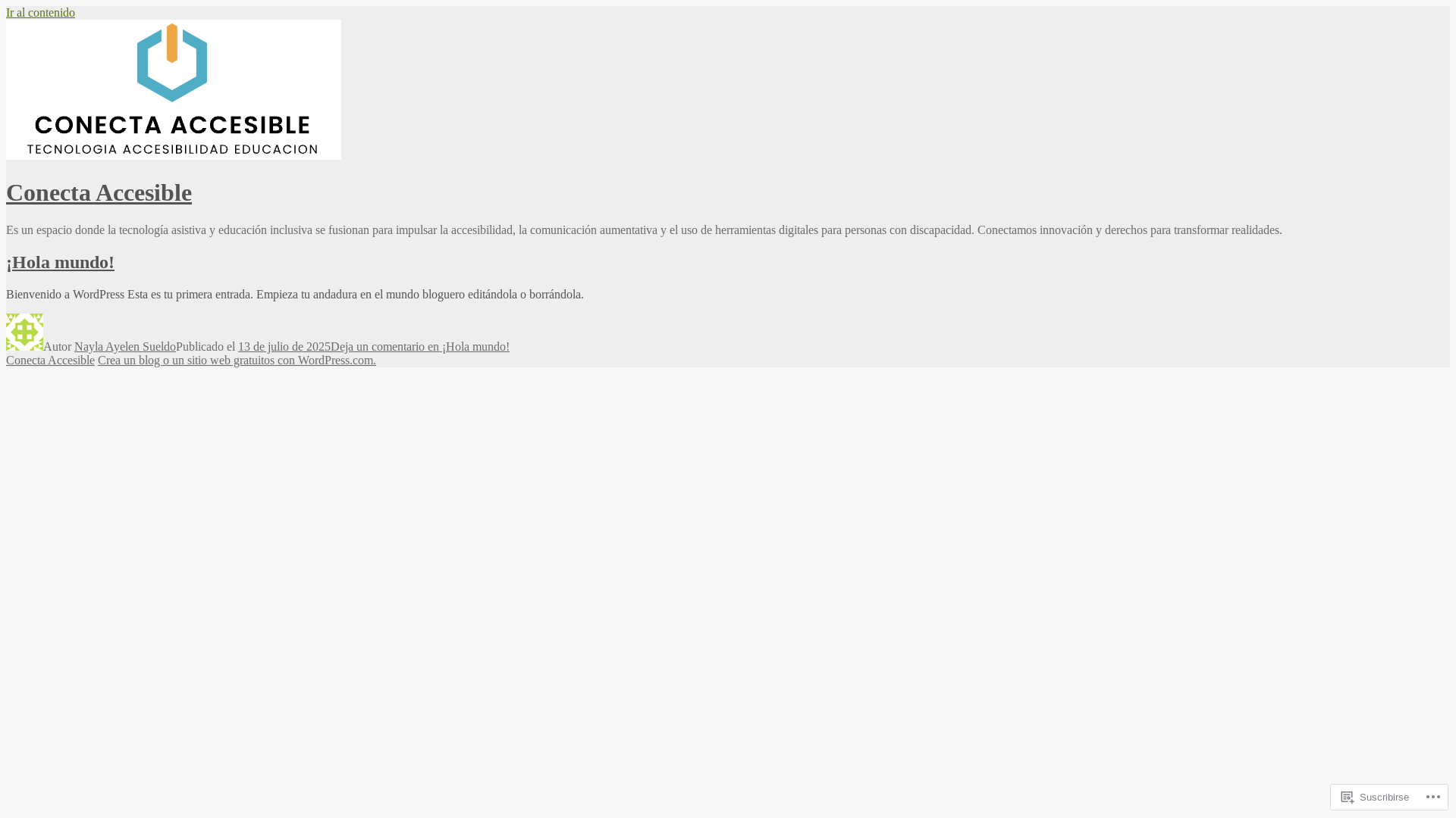 website screenshot of https://conecta-accesible.com/