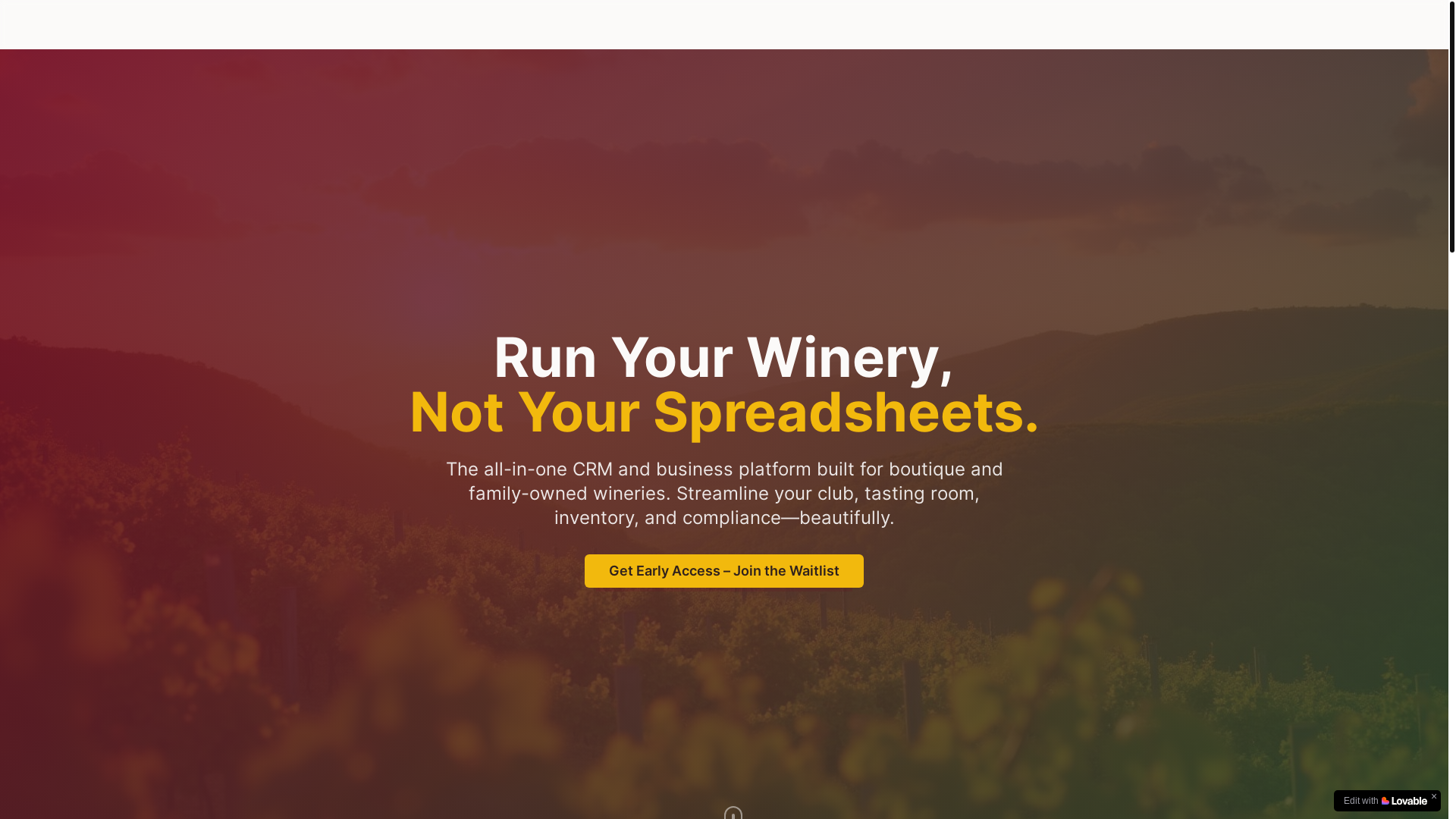 website screenshot of https://vintedge.cloud/