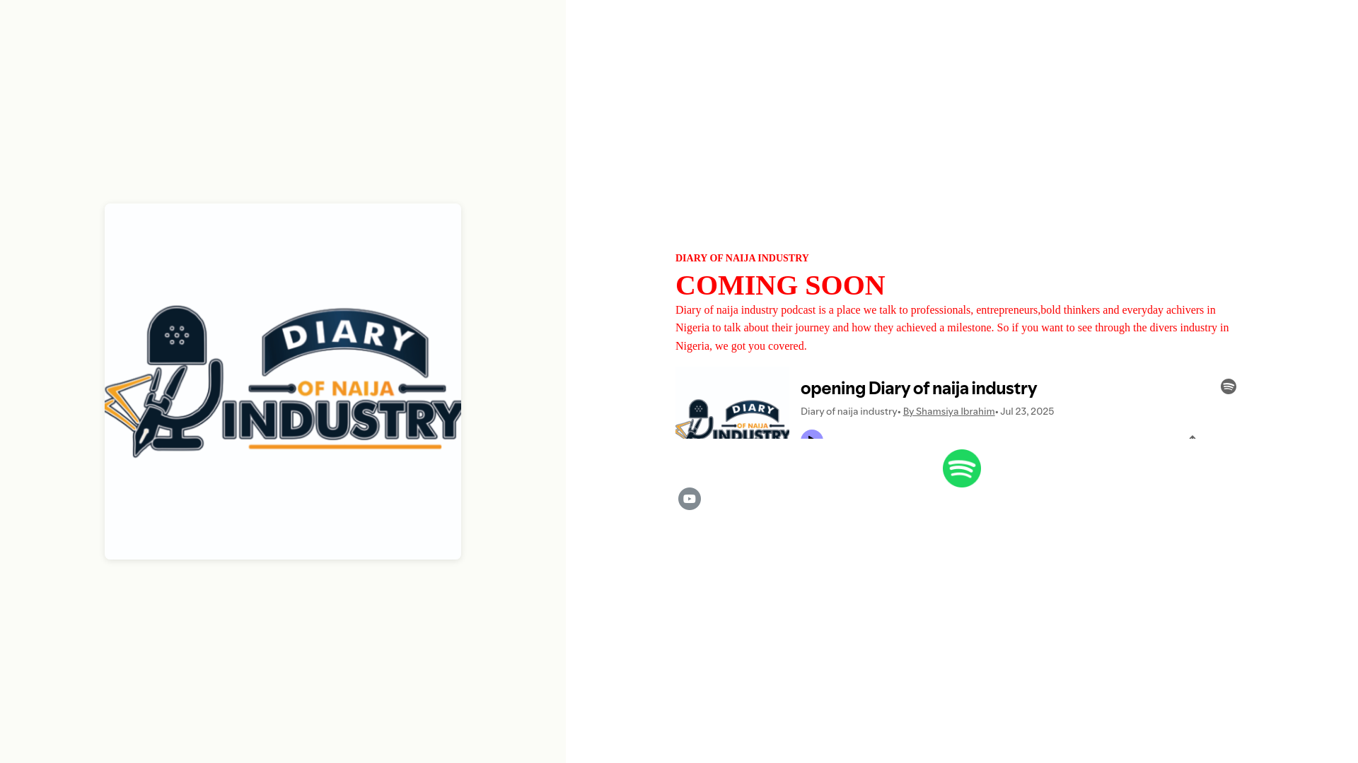 website screenshot of https://diaryofnaijaindustry.com.ng/