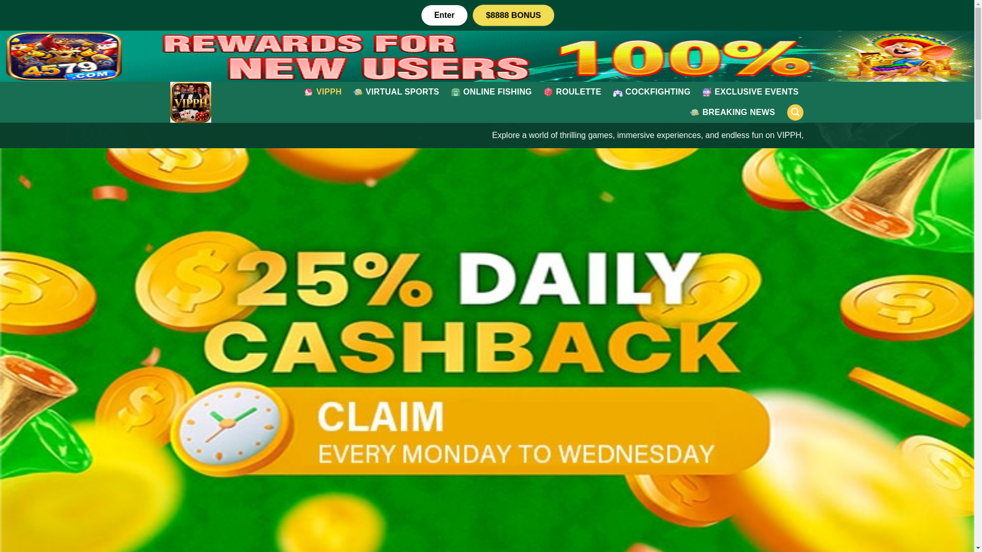 website screenshot of https://vipphnet.com/