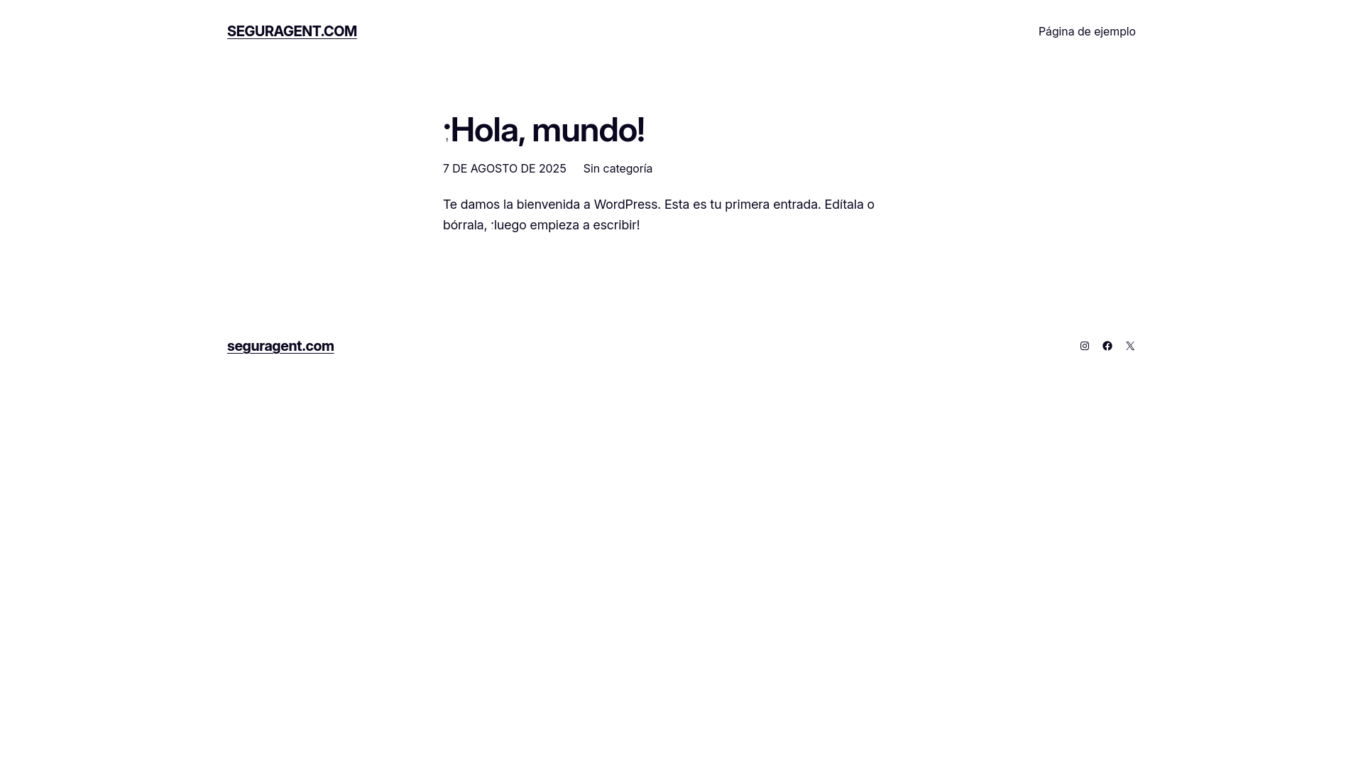 website screenshot of https://seguragent.com/