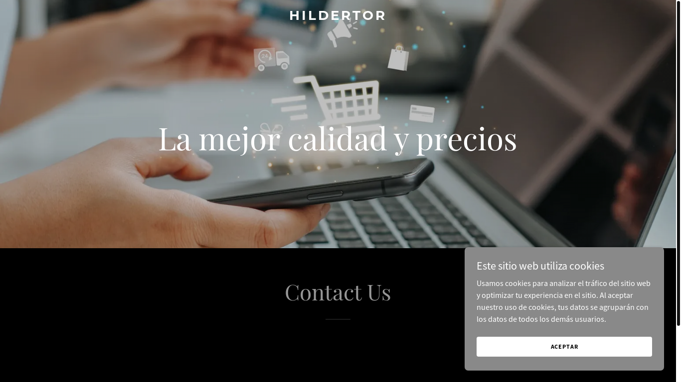 website screenshot of https://hildertor.com.mx/