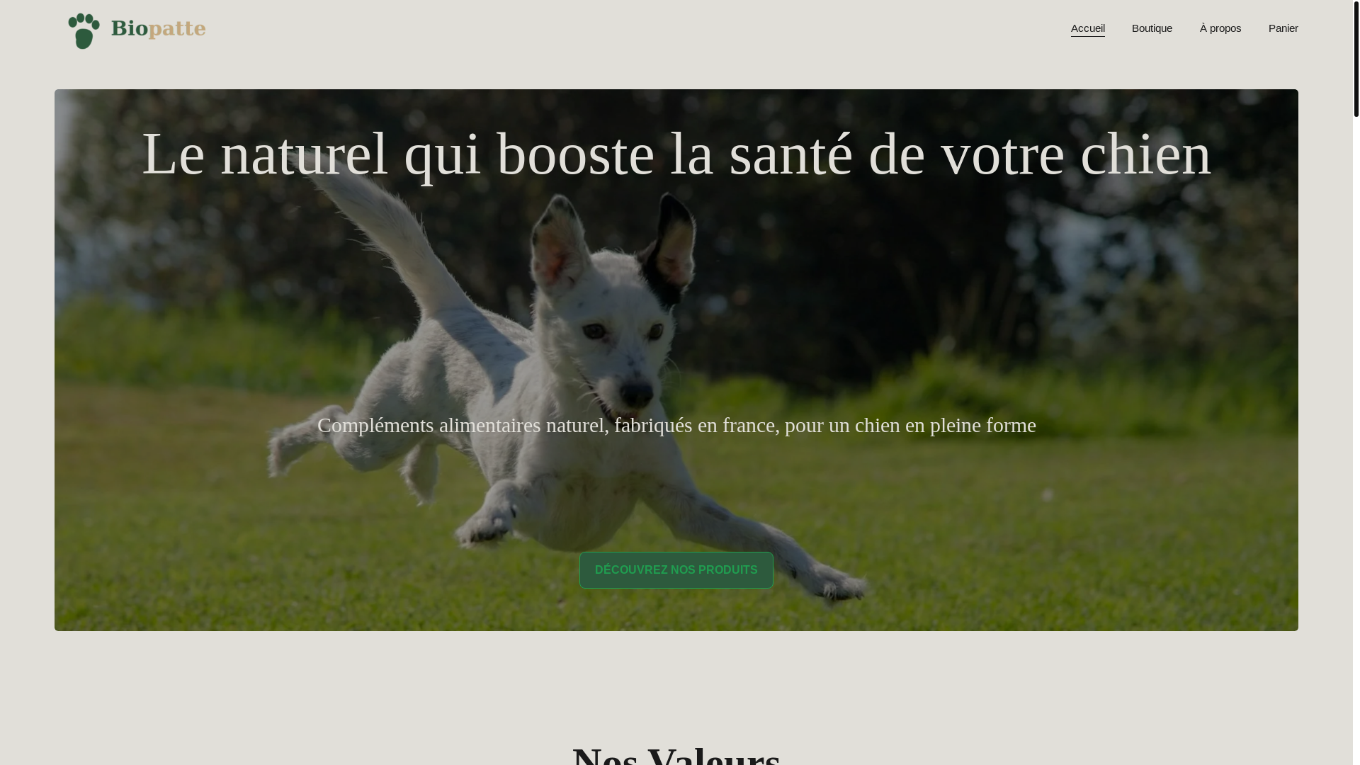 website screenshot of https://biopatte.fr/