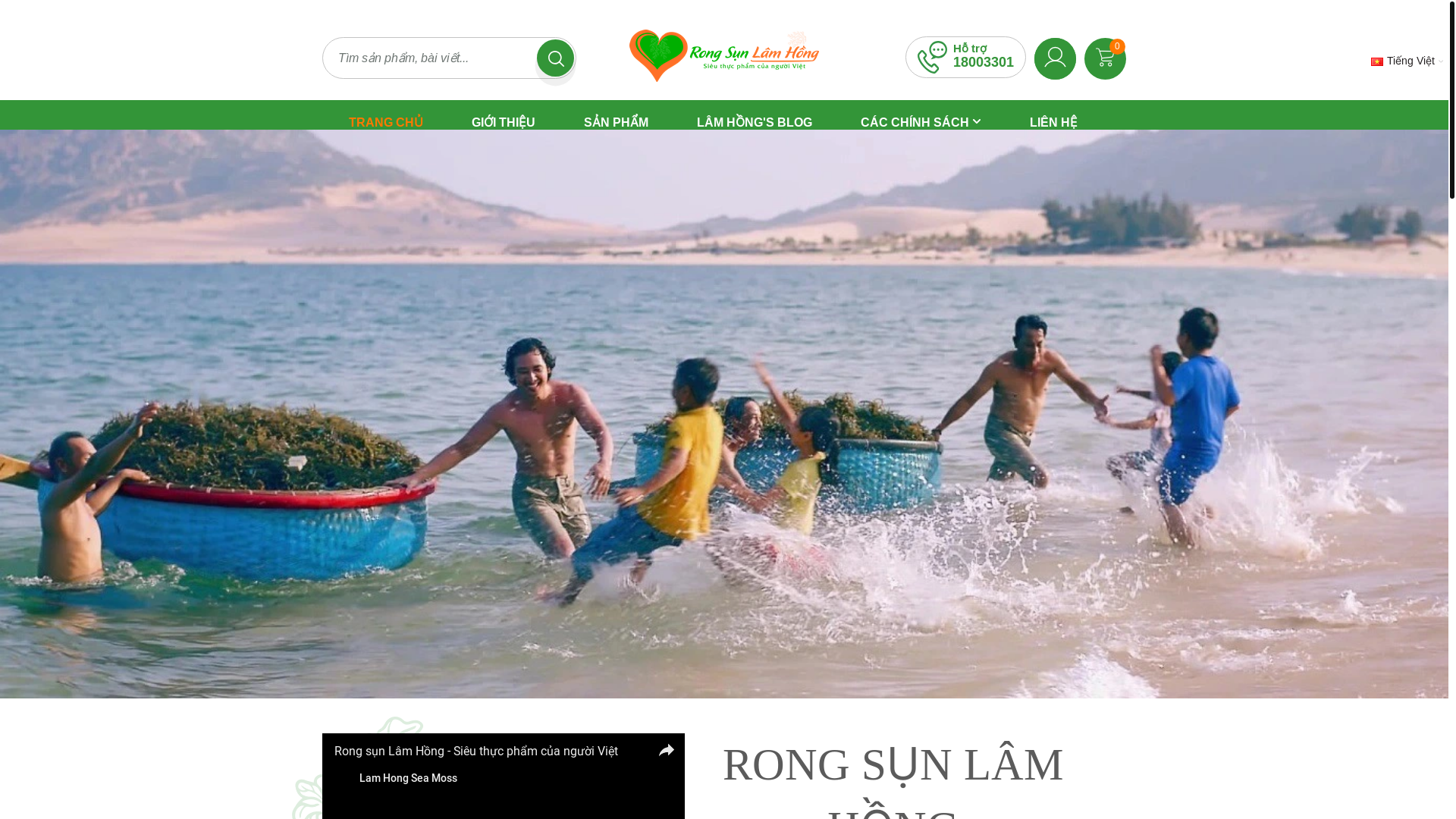 website screenshot of https://rongsunlamhong.com/