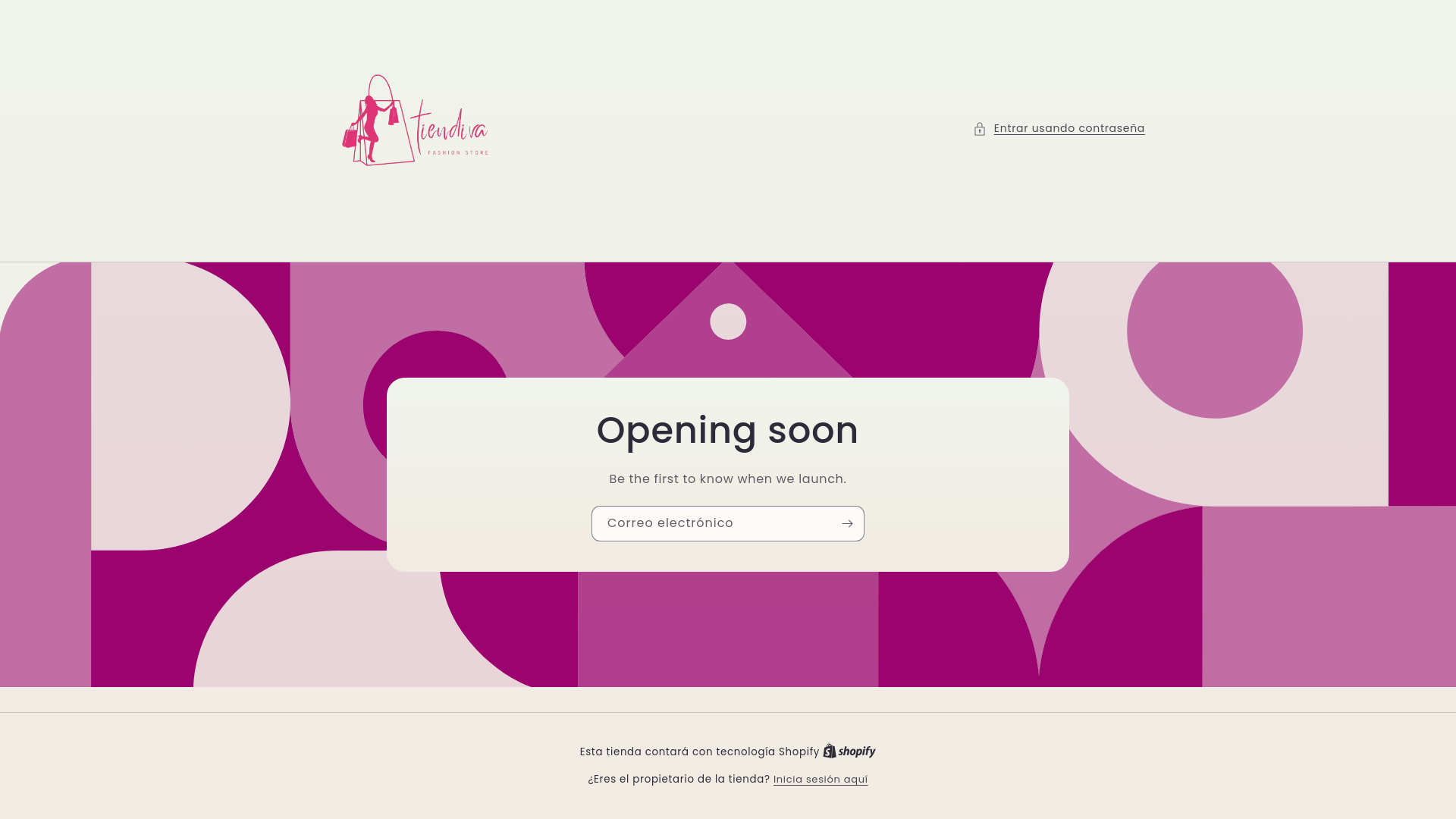 website screenshot of https://tiendivachile.online/