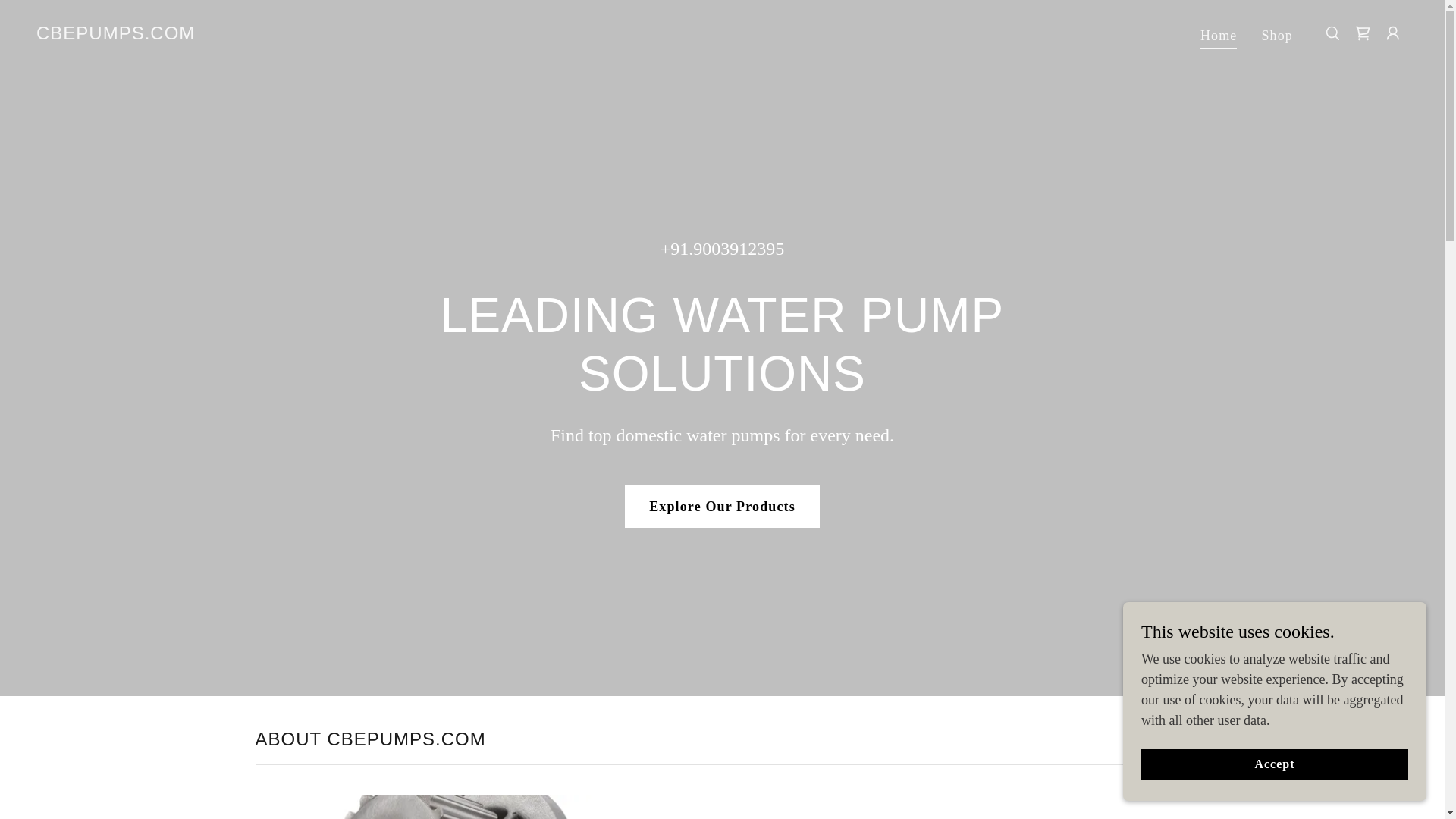 website screenshot of https://cbepumps.com/