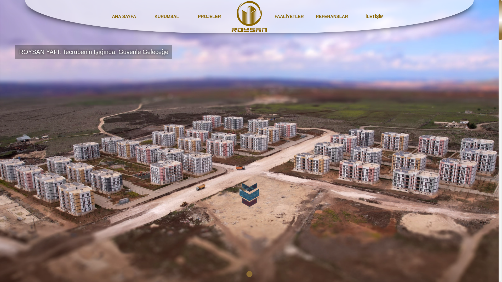 website screenshot of https://roysan.tr/