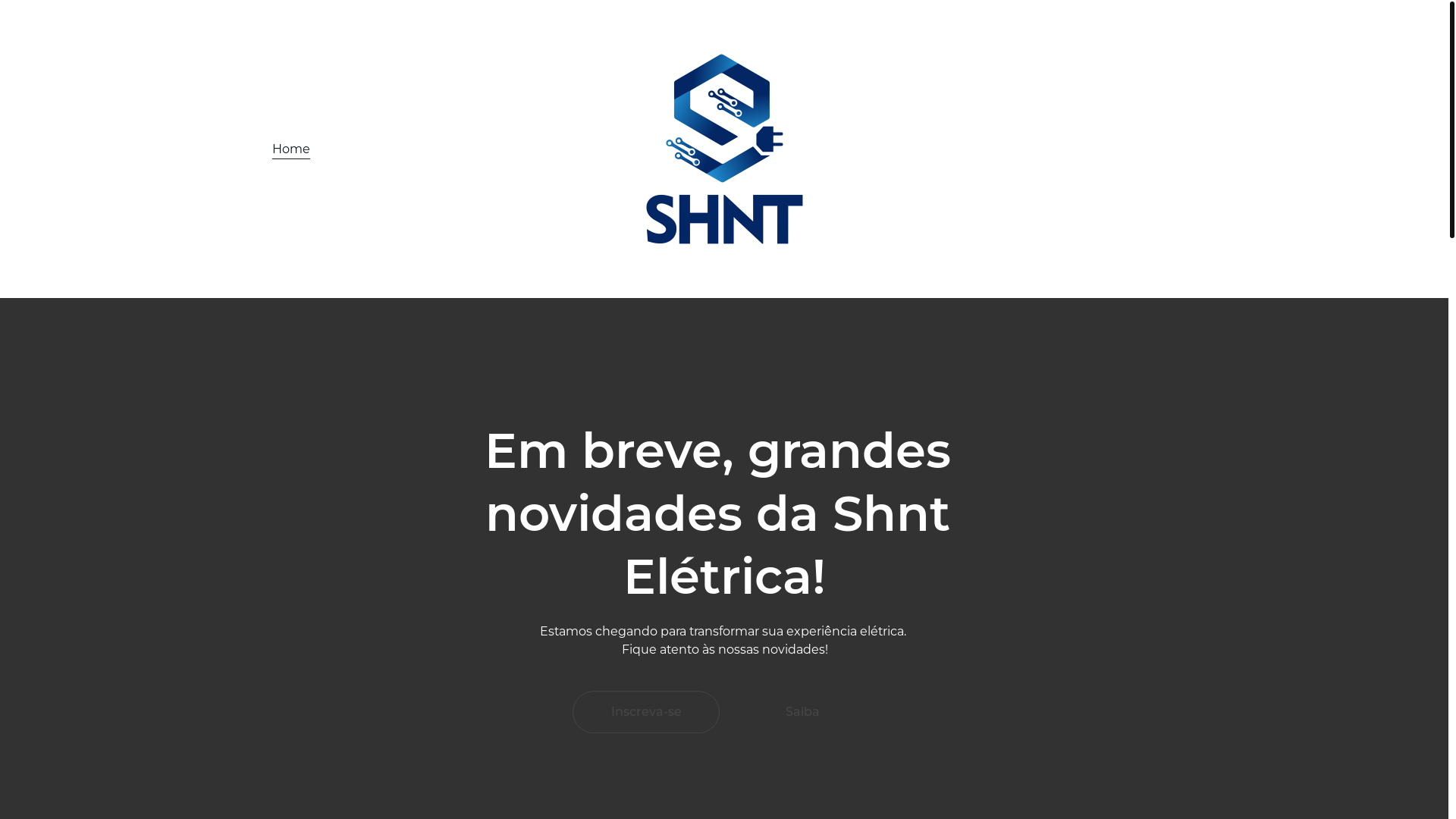 website screenshot of https://shnt.com.br/