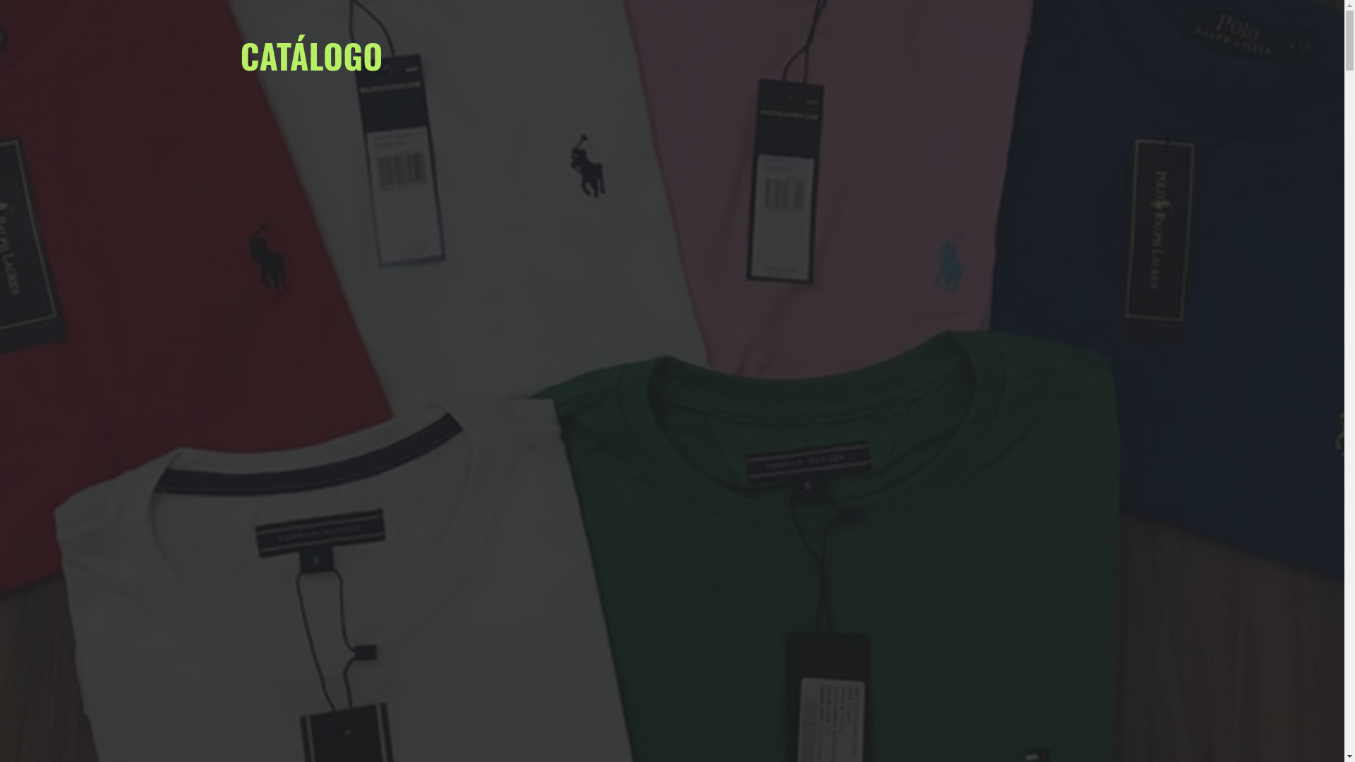 website screenshot of https://catalogoallisonfabricante.com/