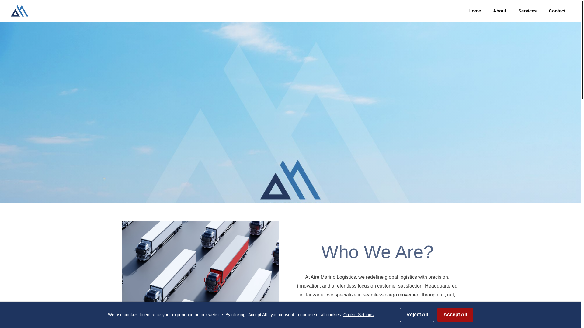 website screenshot of https://airemarino.co.tz/