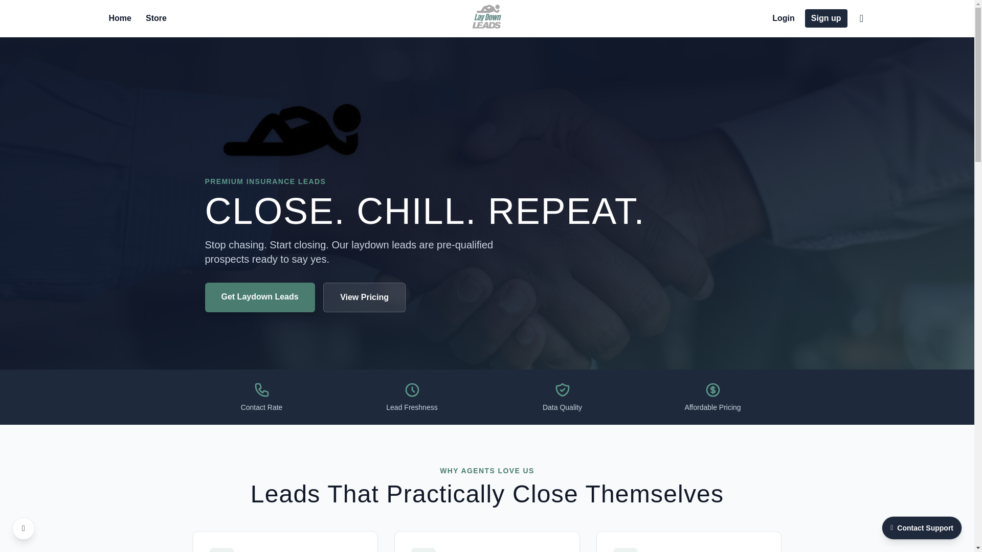 website screenshot of https://laydownleads.io/