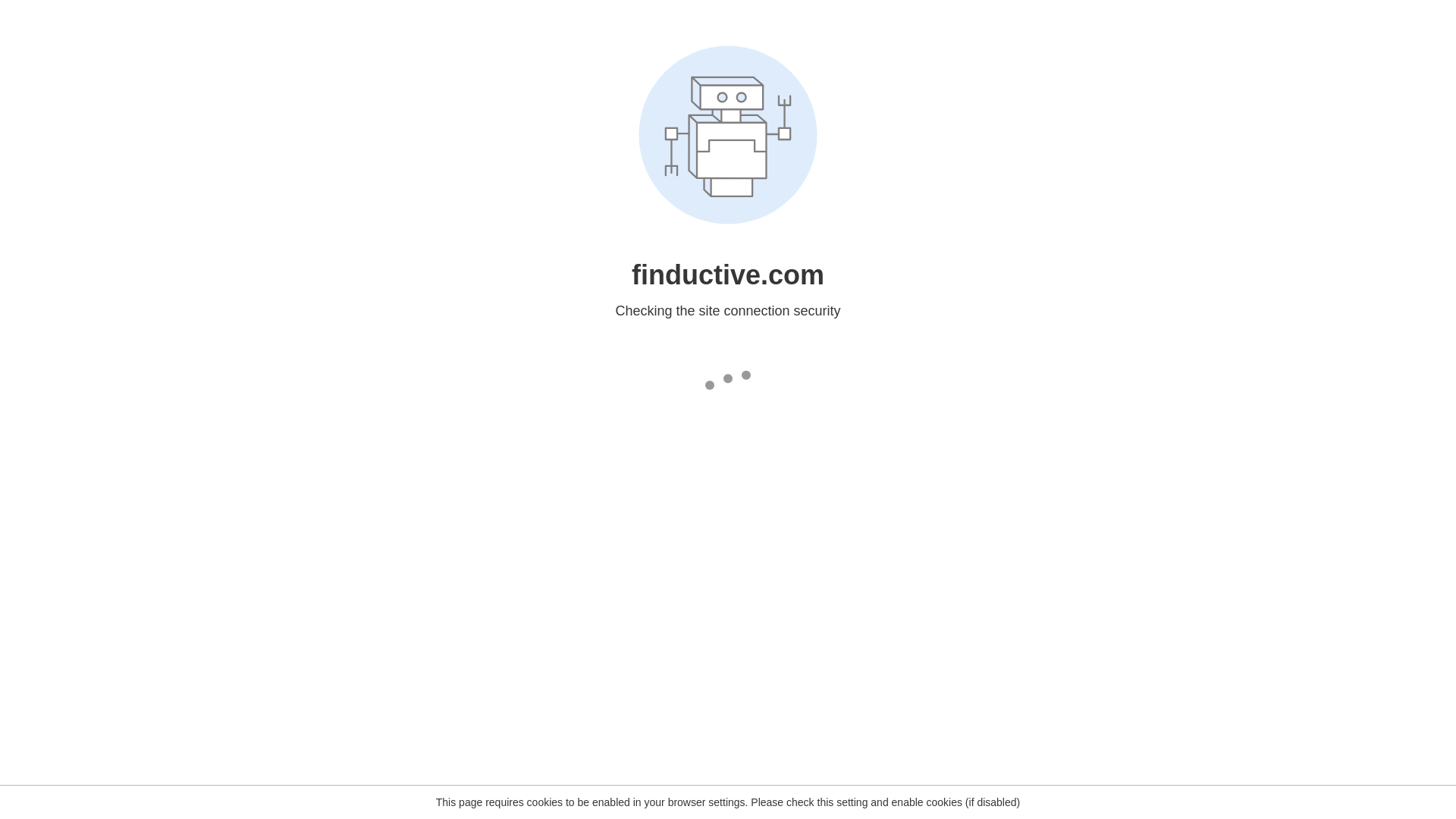 website screenshot of https://finductive.com/verify-your-identity/