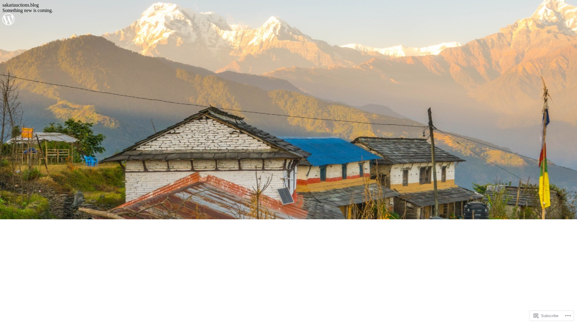 website screenshot of https://sakariauctions.blog/