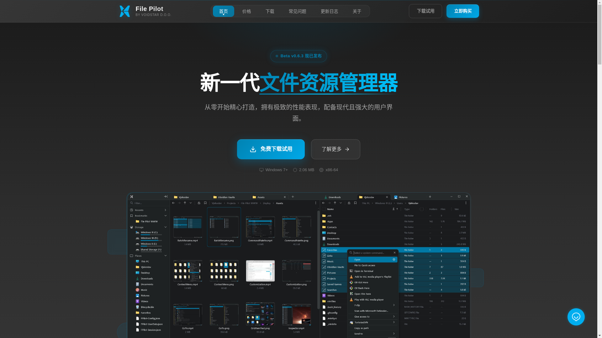 website screenshot of https://filepilot.cn/