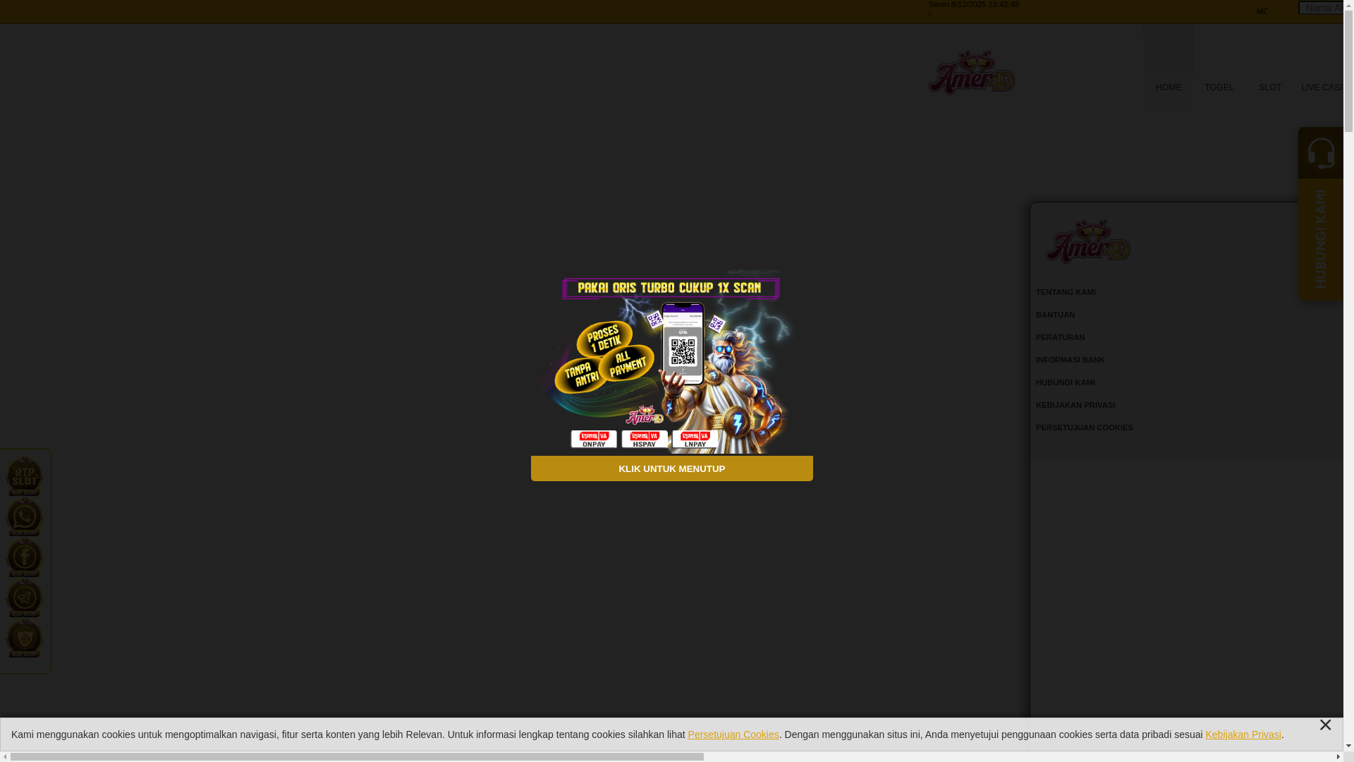 website screenshot of https://amer4dasli.com/
