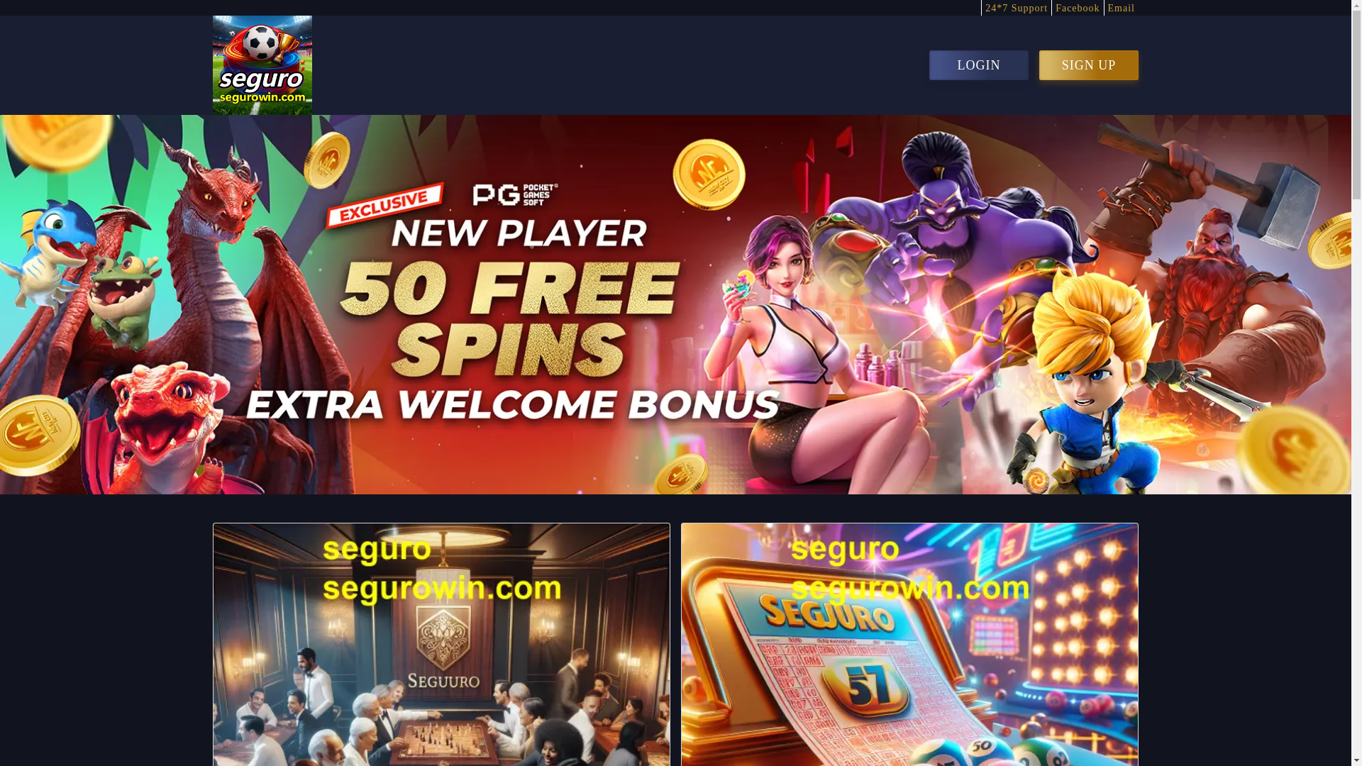 website screenshot of https://segurowin.com/