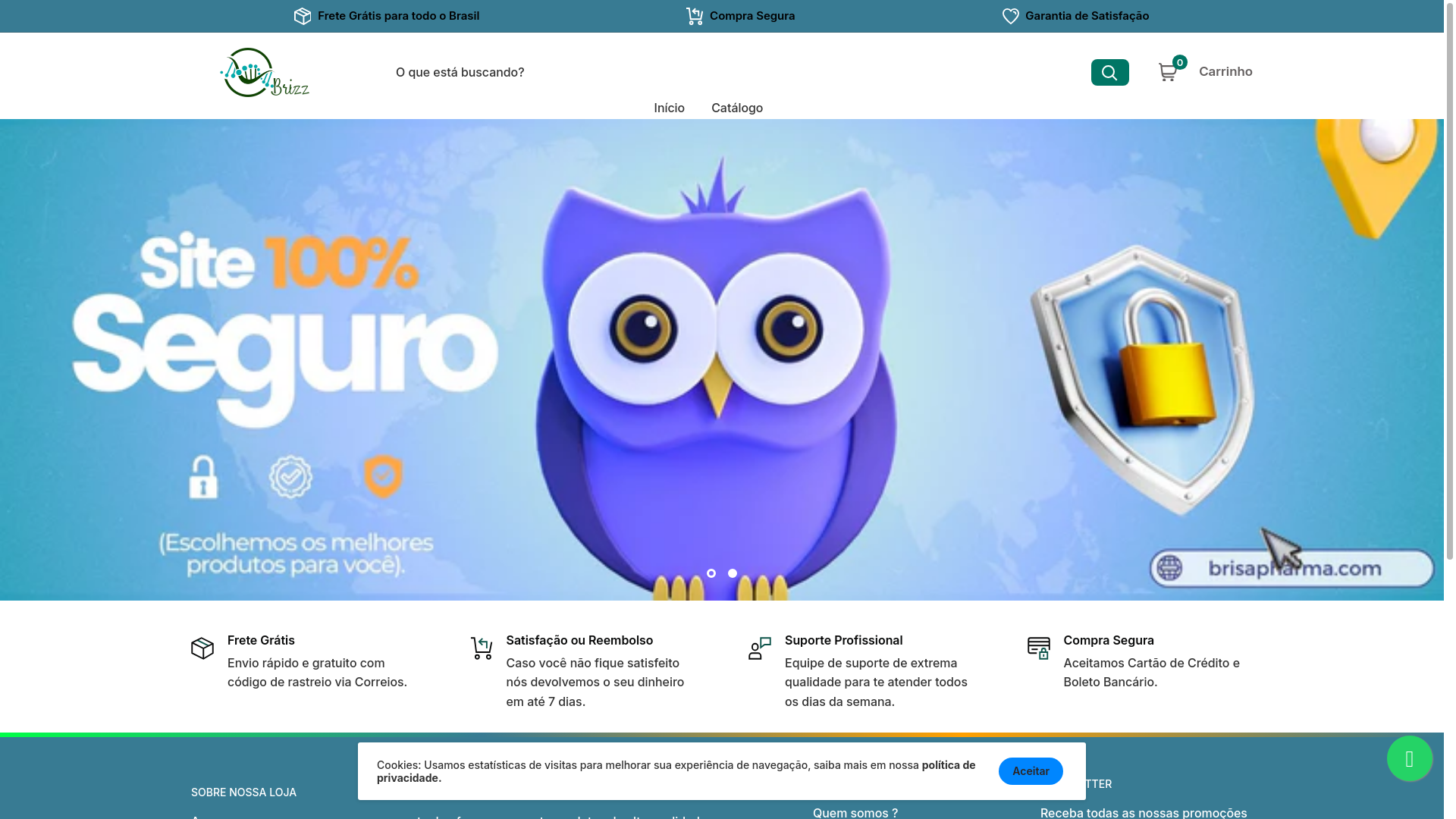 website screenshot of https://brizzsuplementos.shop/