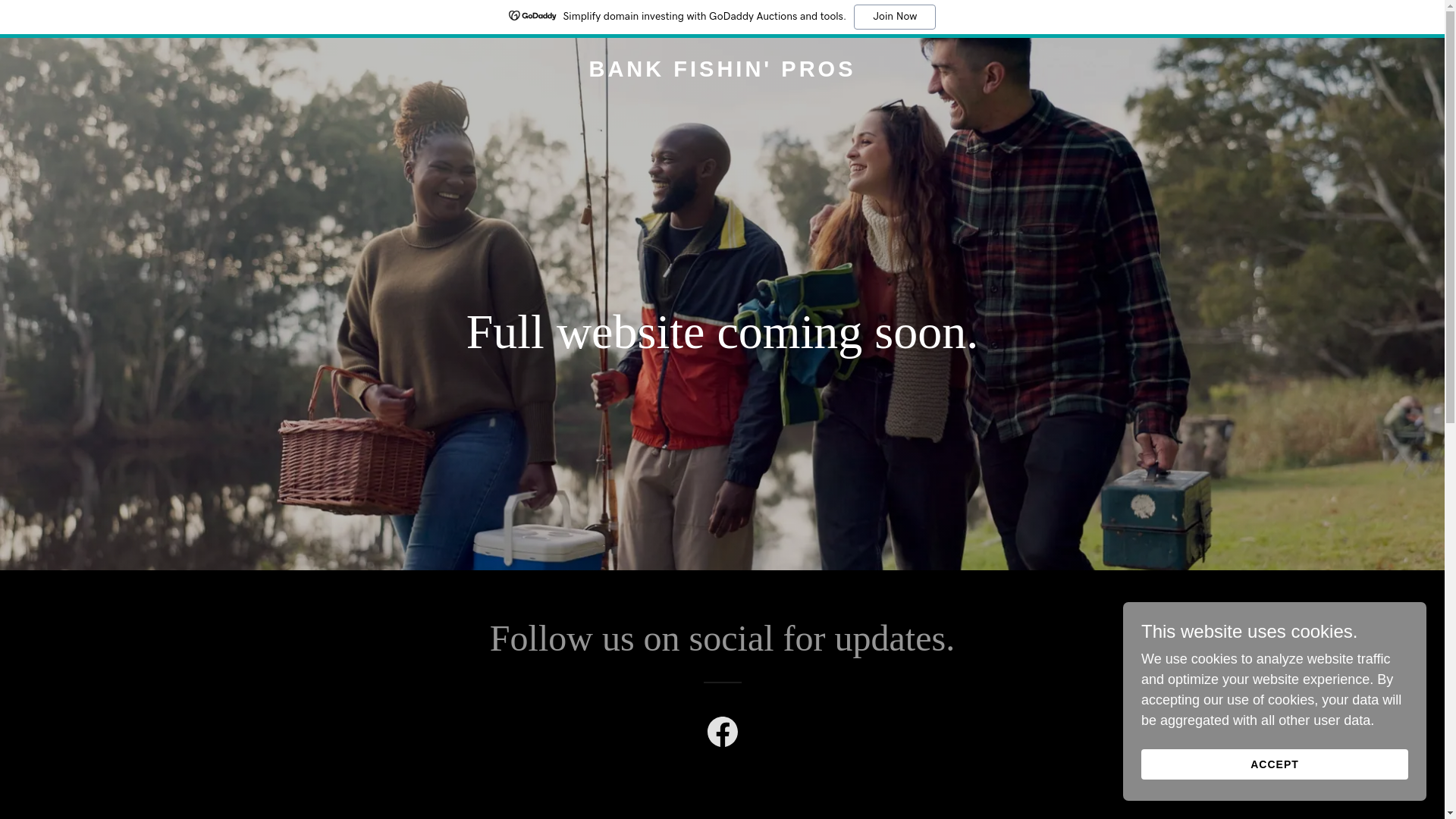 website screenshot of https://bankfishinpros.com/