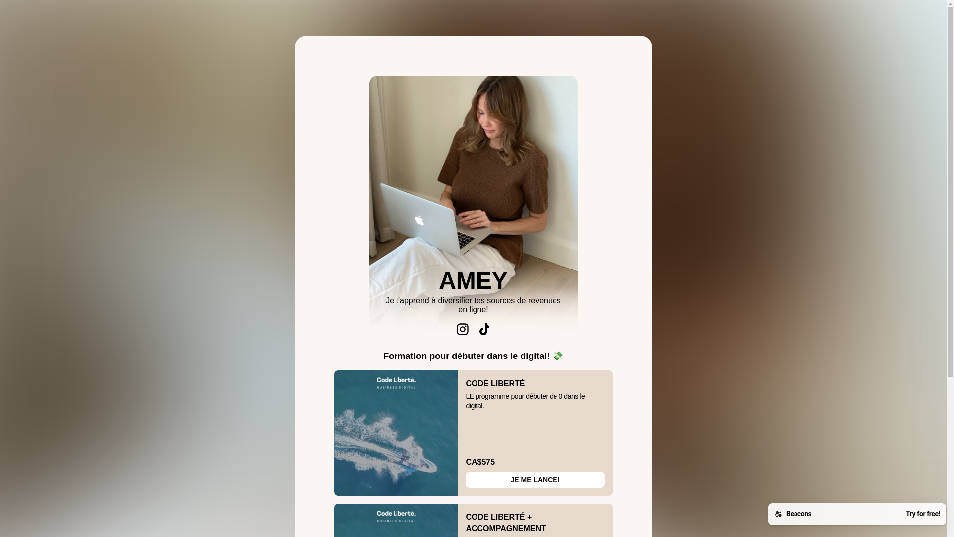 website screenshot of https://paramey.store/