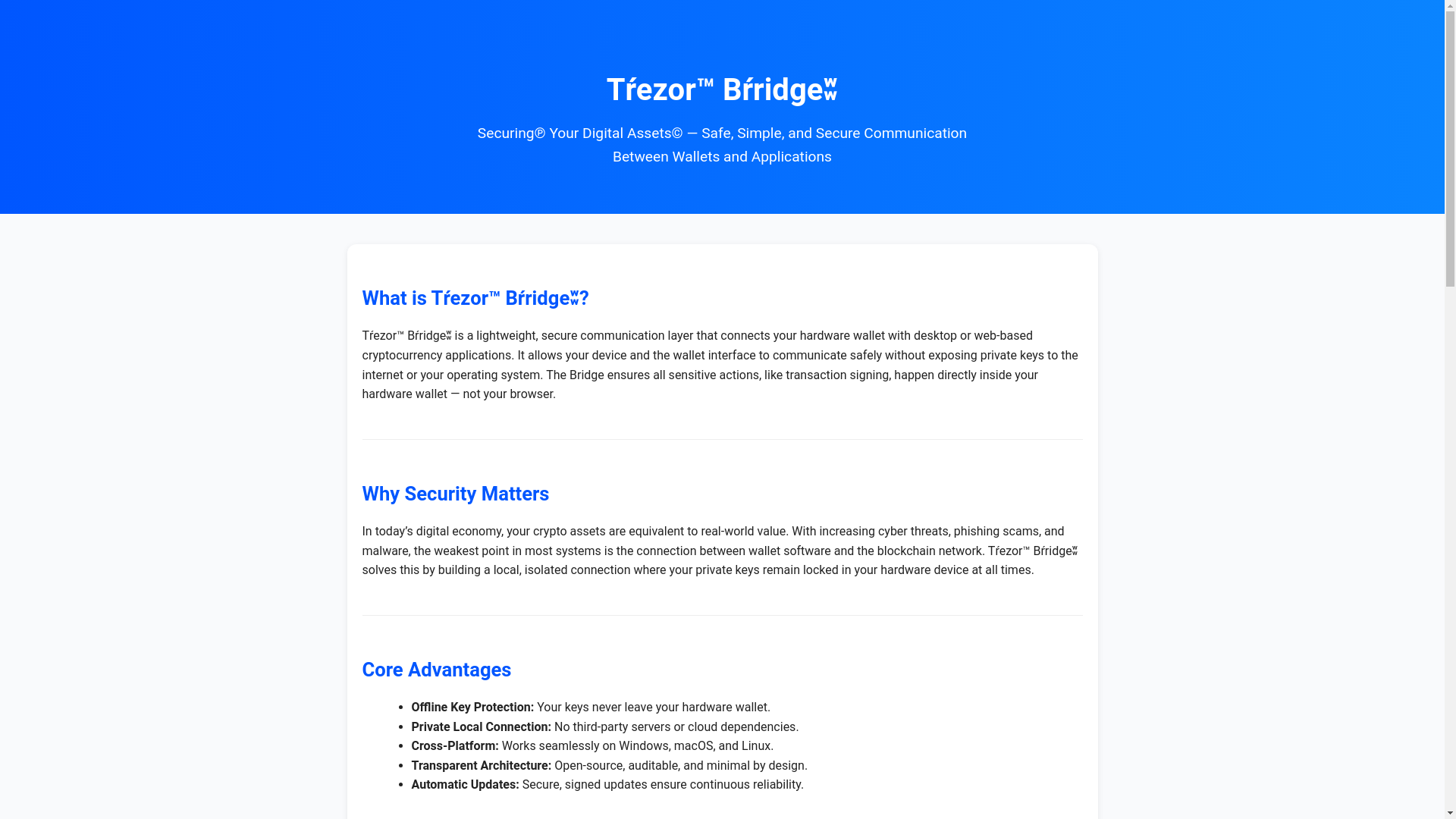 website screenshot of https://en-bridge-trizoy.pages.dev/