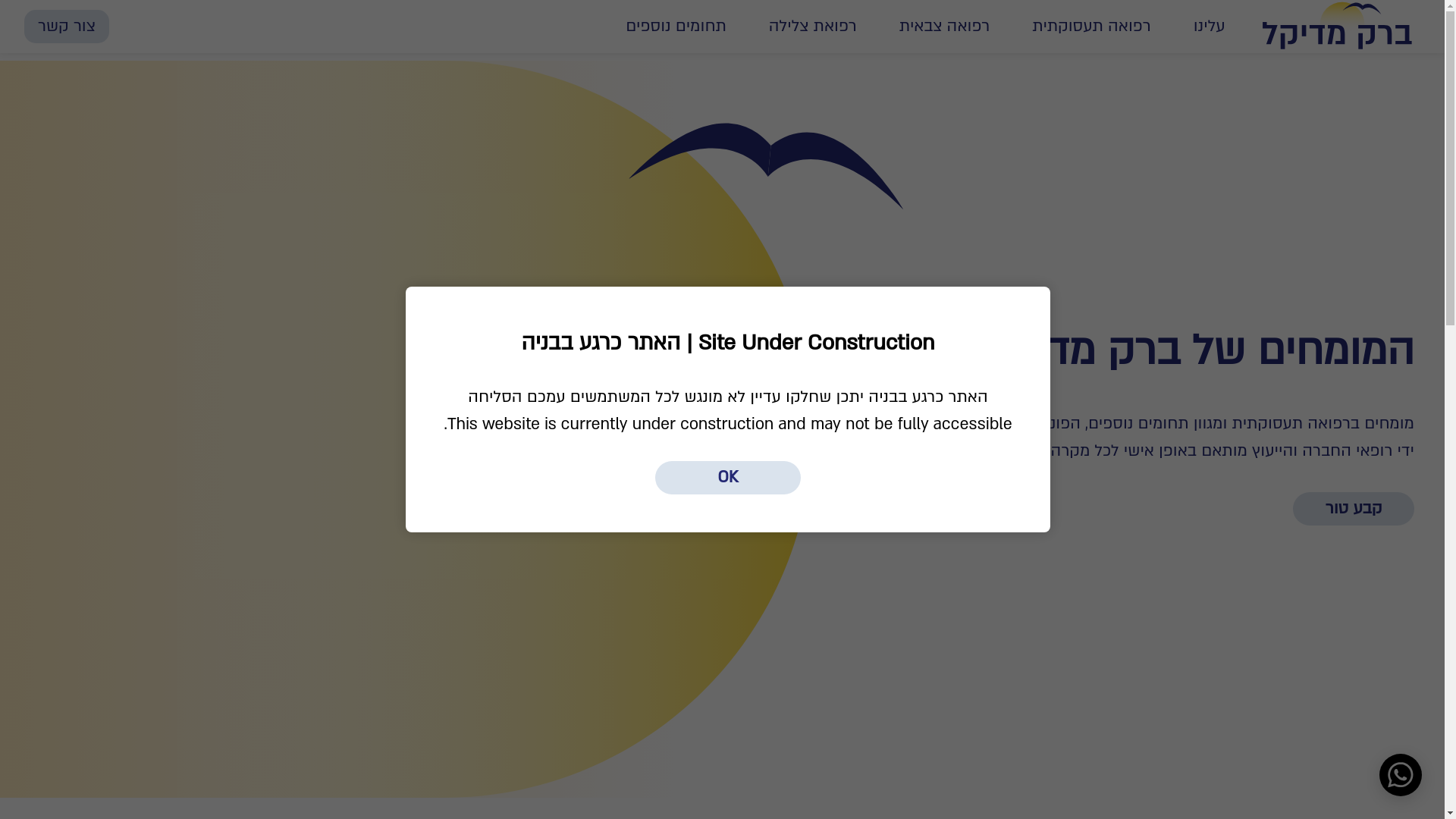 website screenshot of https://barak-medical.pages.dev/