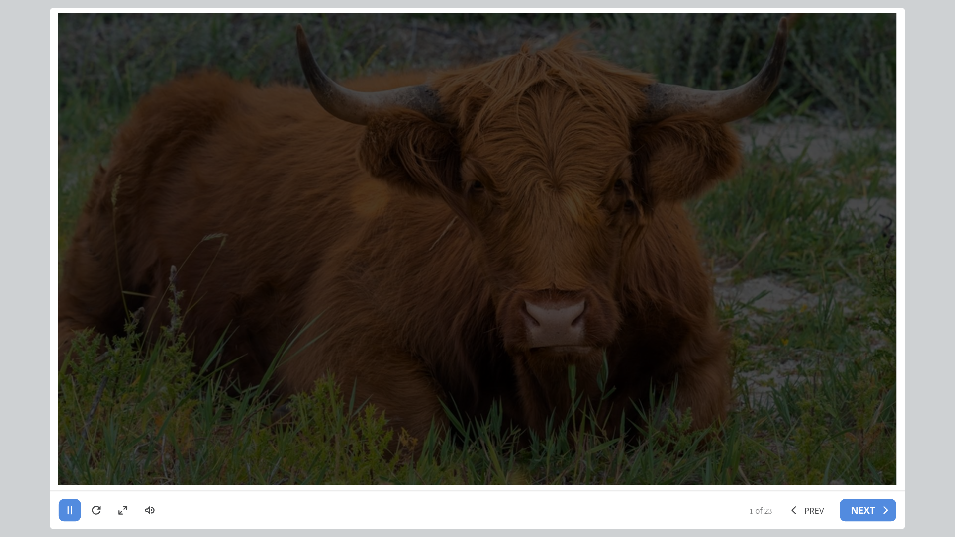 website screenshot of https://334dfcf1-dfaa-6489-fbab-1b3ec7179574-qa.pages.dev/