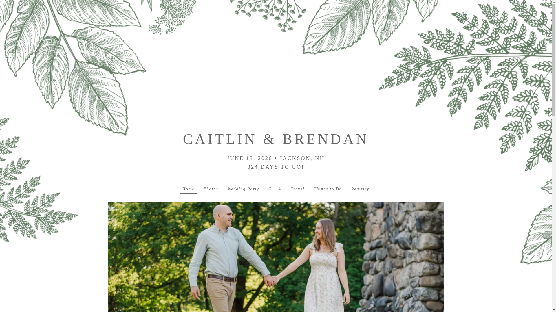 website screenshot of https://brendanandcaitlin.com/