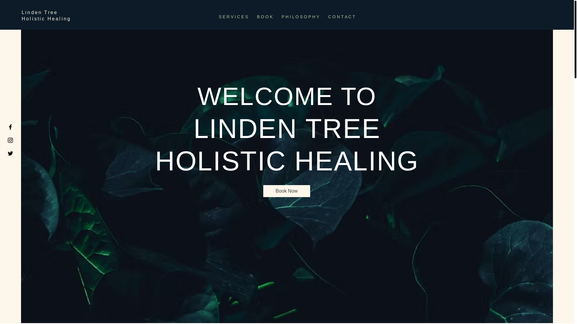 website screenshot of https://lindentreeholistic.com/