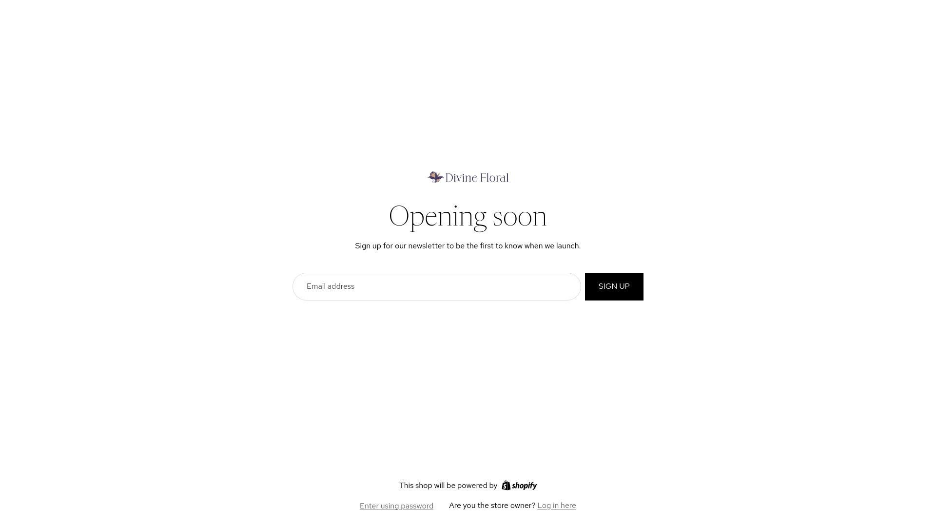 website screenshot of https://divinefloral.co.nz/