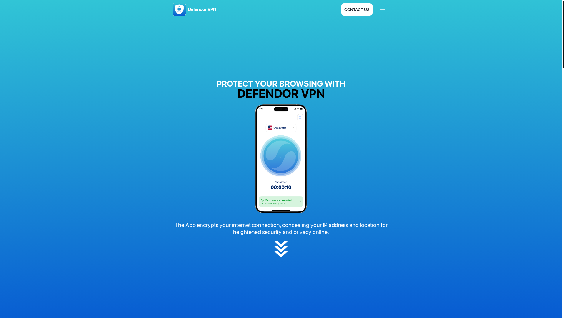 website screenshot of https://defendorvpn.com/