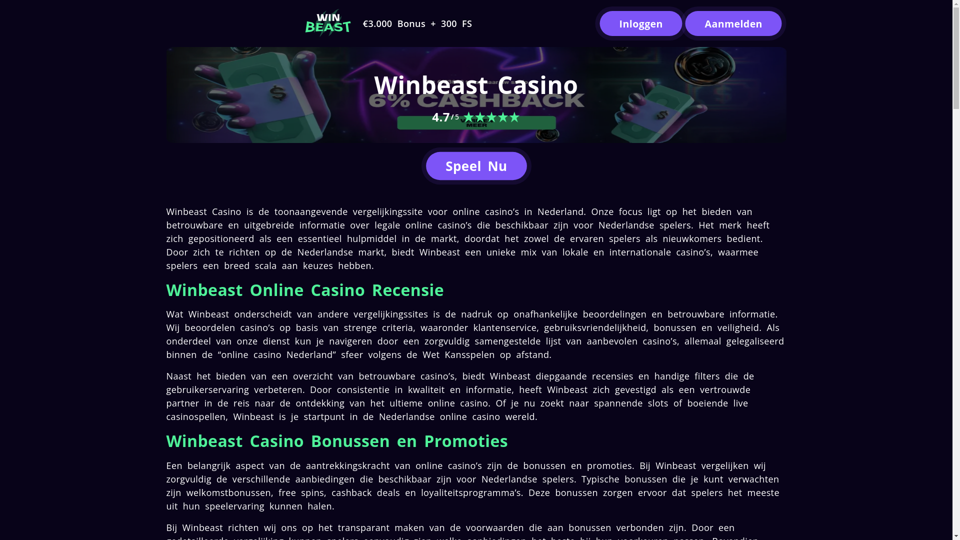 website screenshot of https://winbeast-casino-nl.pages.dev/