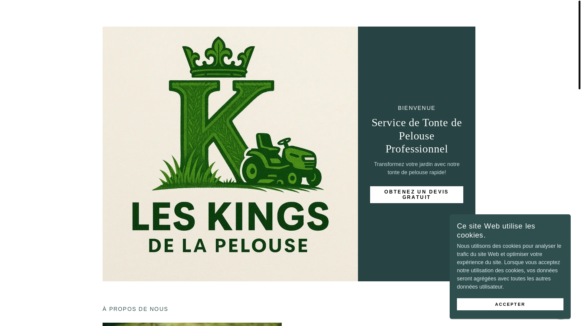 website screenshot of https://leskingsdelapelouse.com/