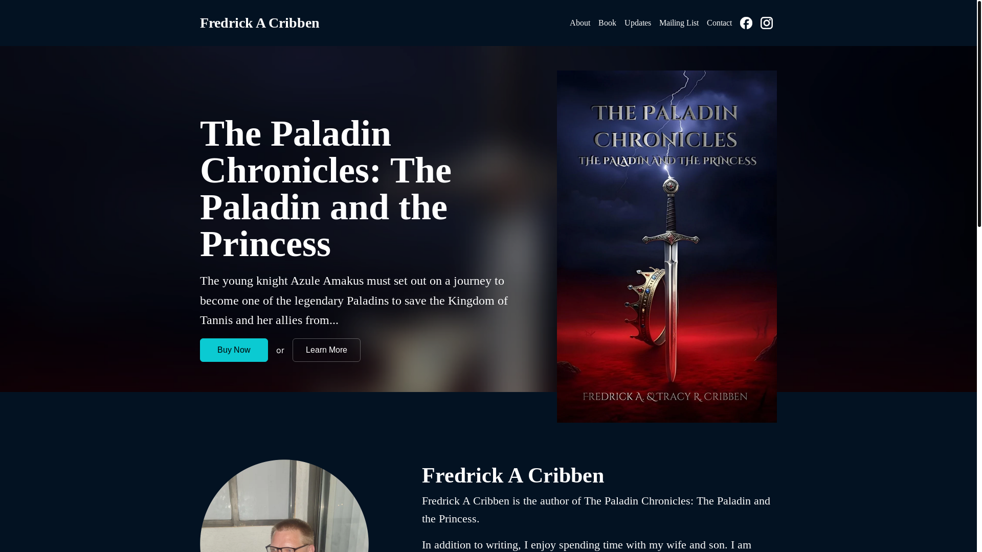 website screenshot of https://facthepaladinchronicles.com/