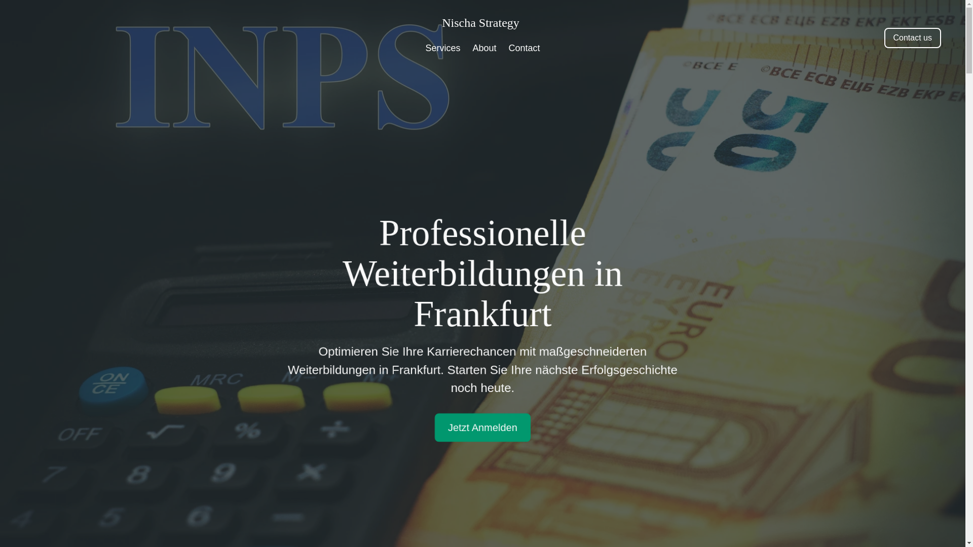 website screenshot of https://nischaplan.com/