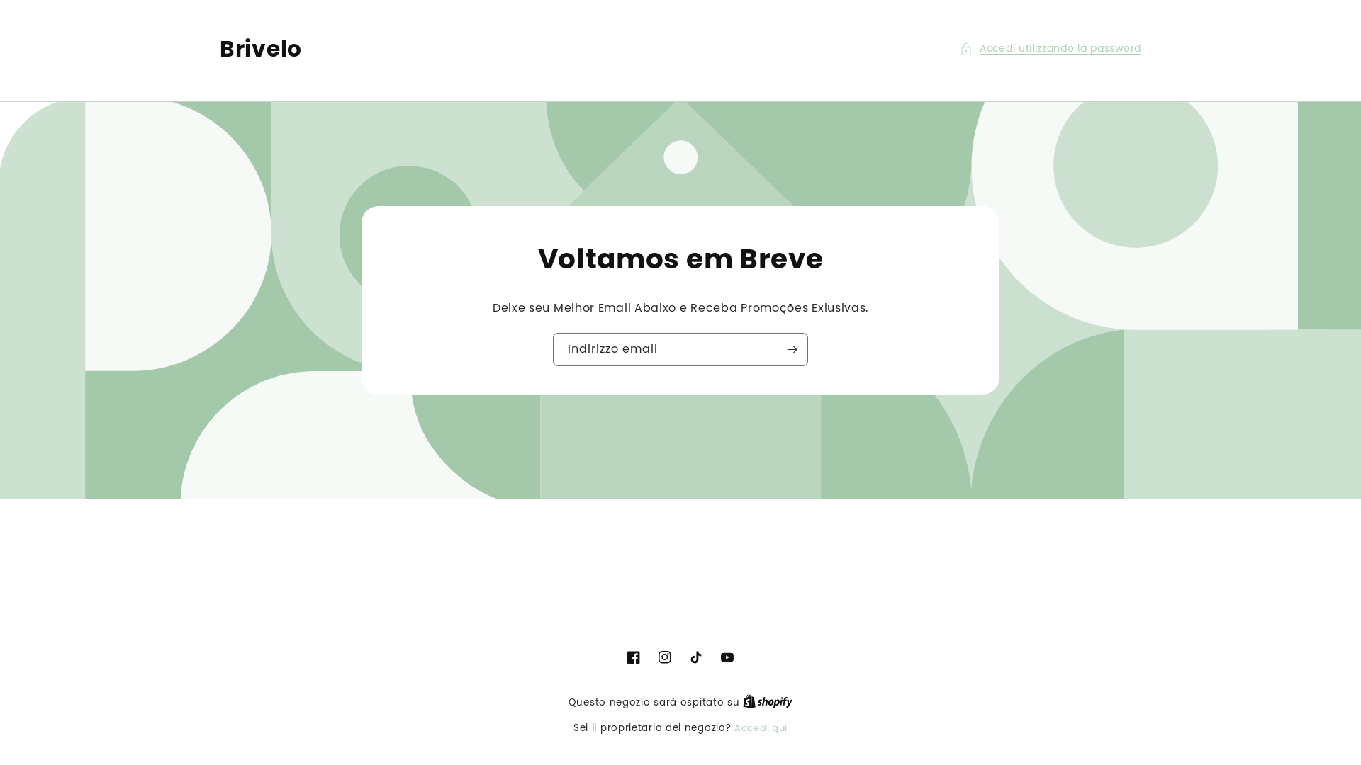 website screenshot of https://brivelo.it/