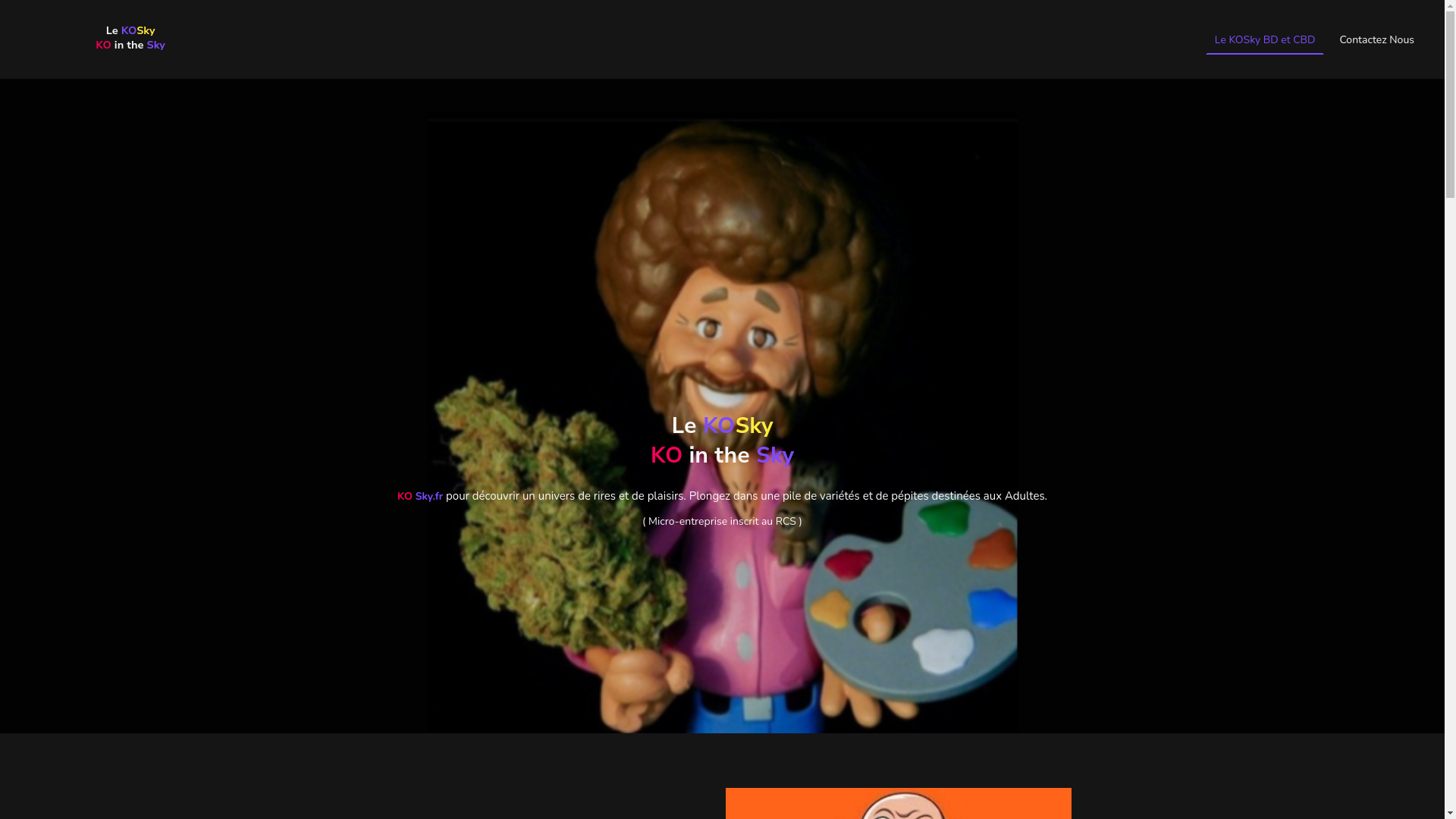 website screenshot of https://lekosky.fr/
