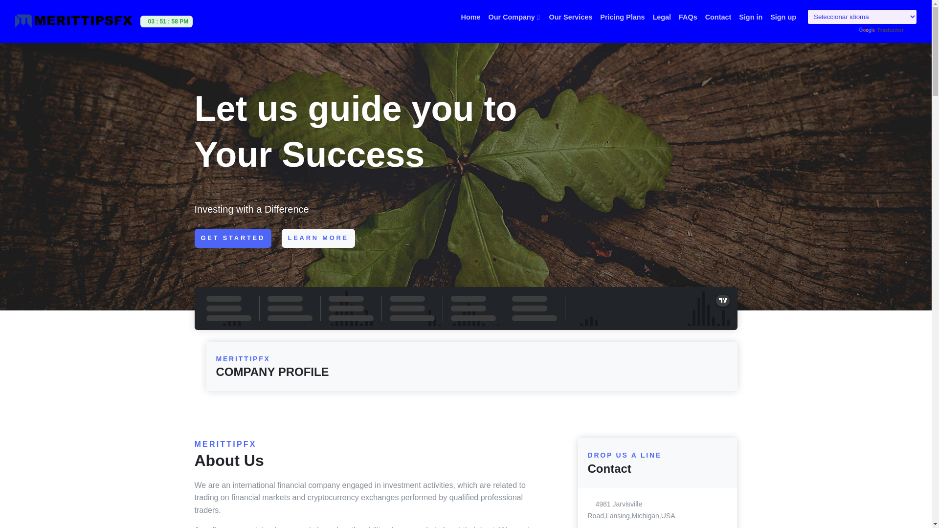 website screenshot of https://merittipfx.com/