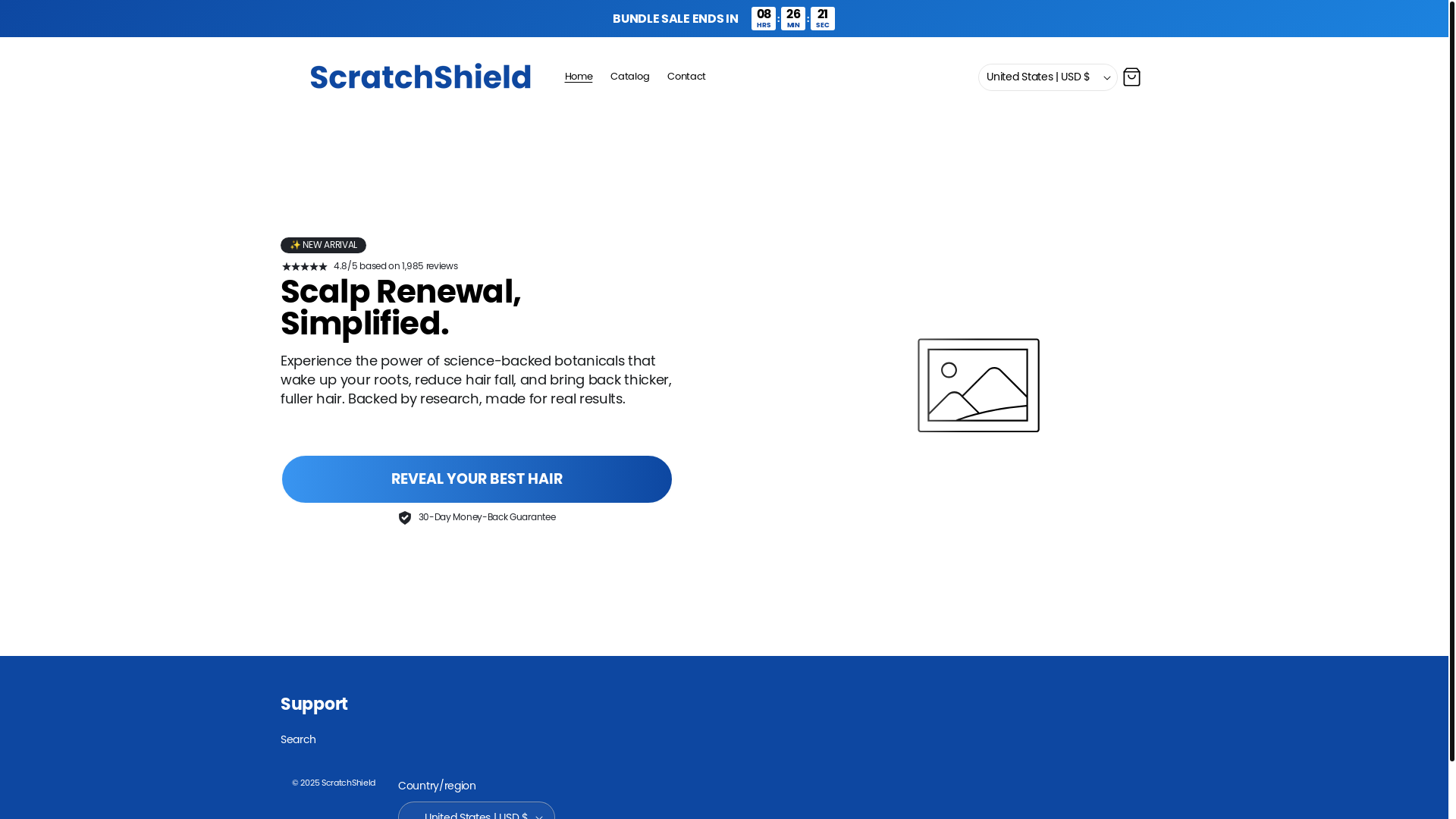 website screenshot of https://tryscratchshield.com/