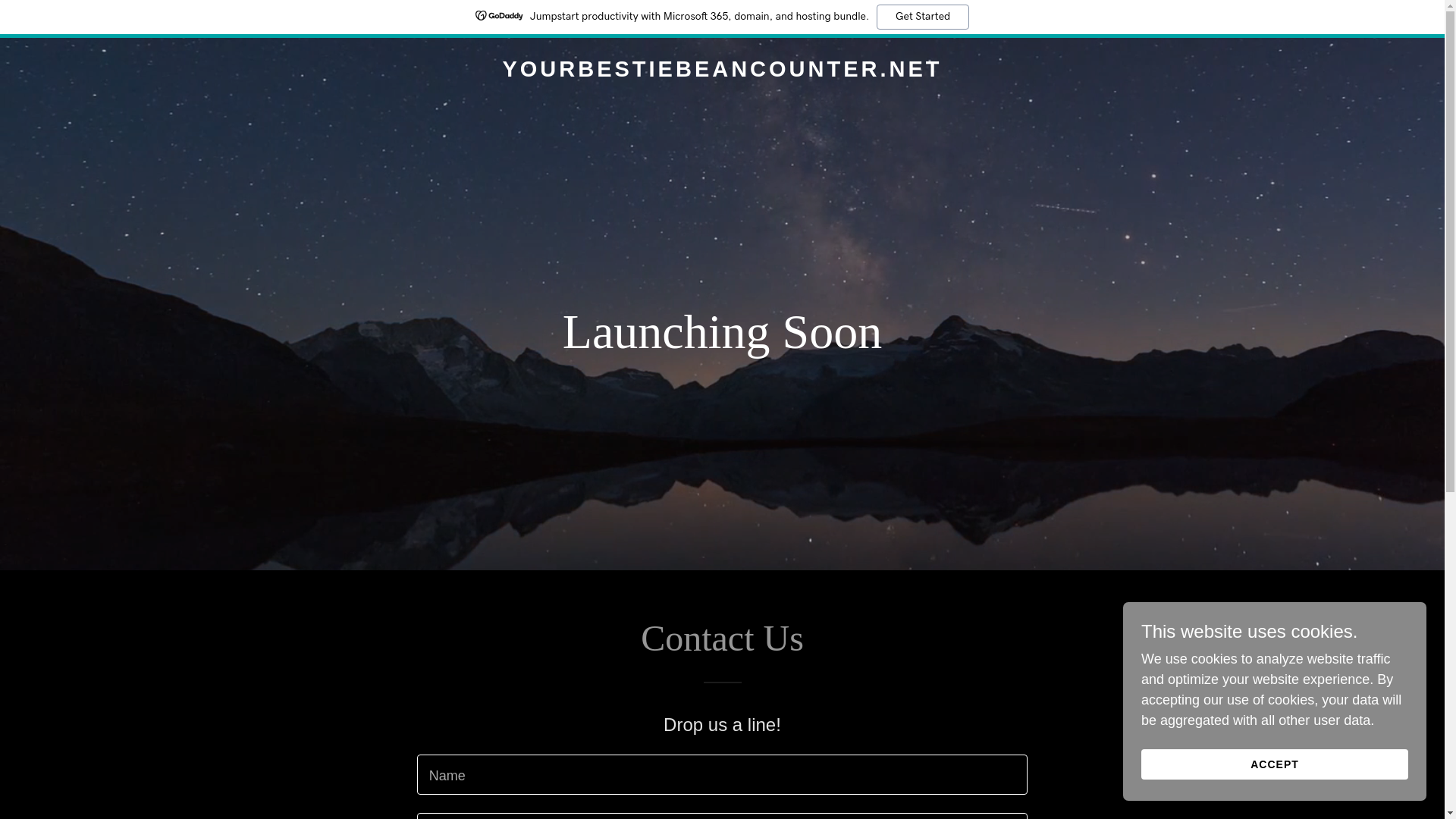 website screenshot of https://yourbestiebeancounter.net/