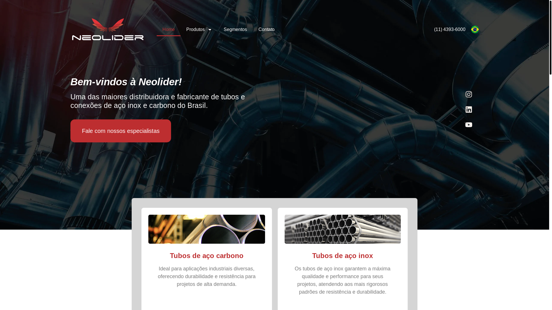 website screenshot of https://neolider.net.br/