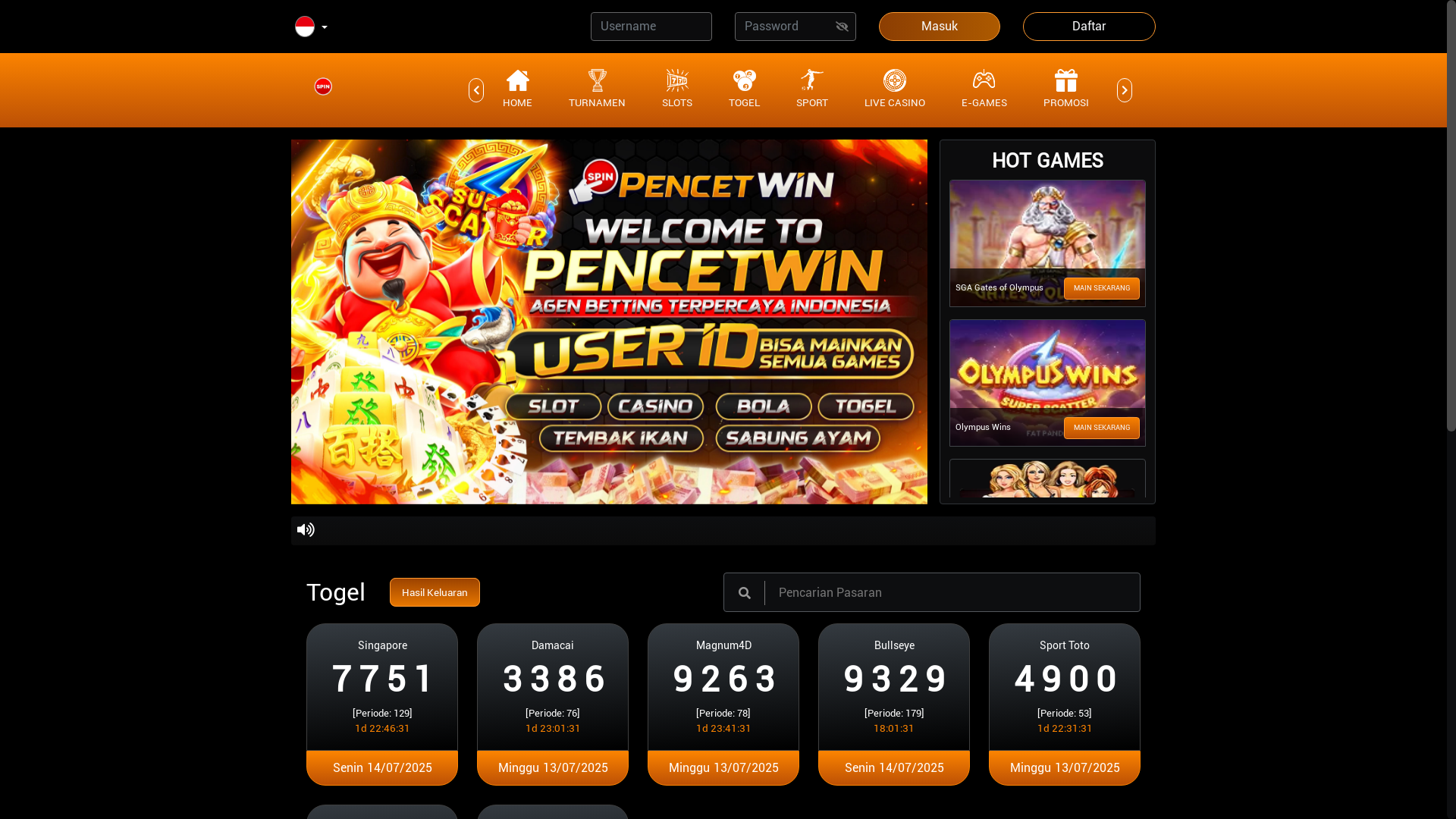 website screenshot of https://pencetwin.store/