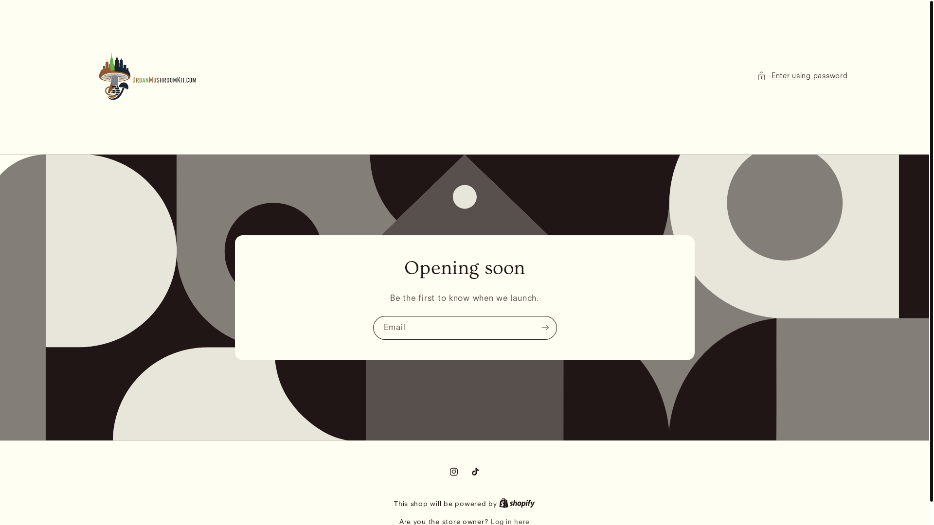 website screenshot of https://urbanmushroomkits.com/