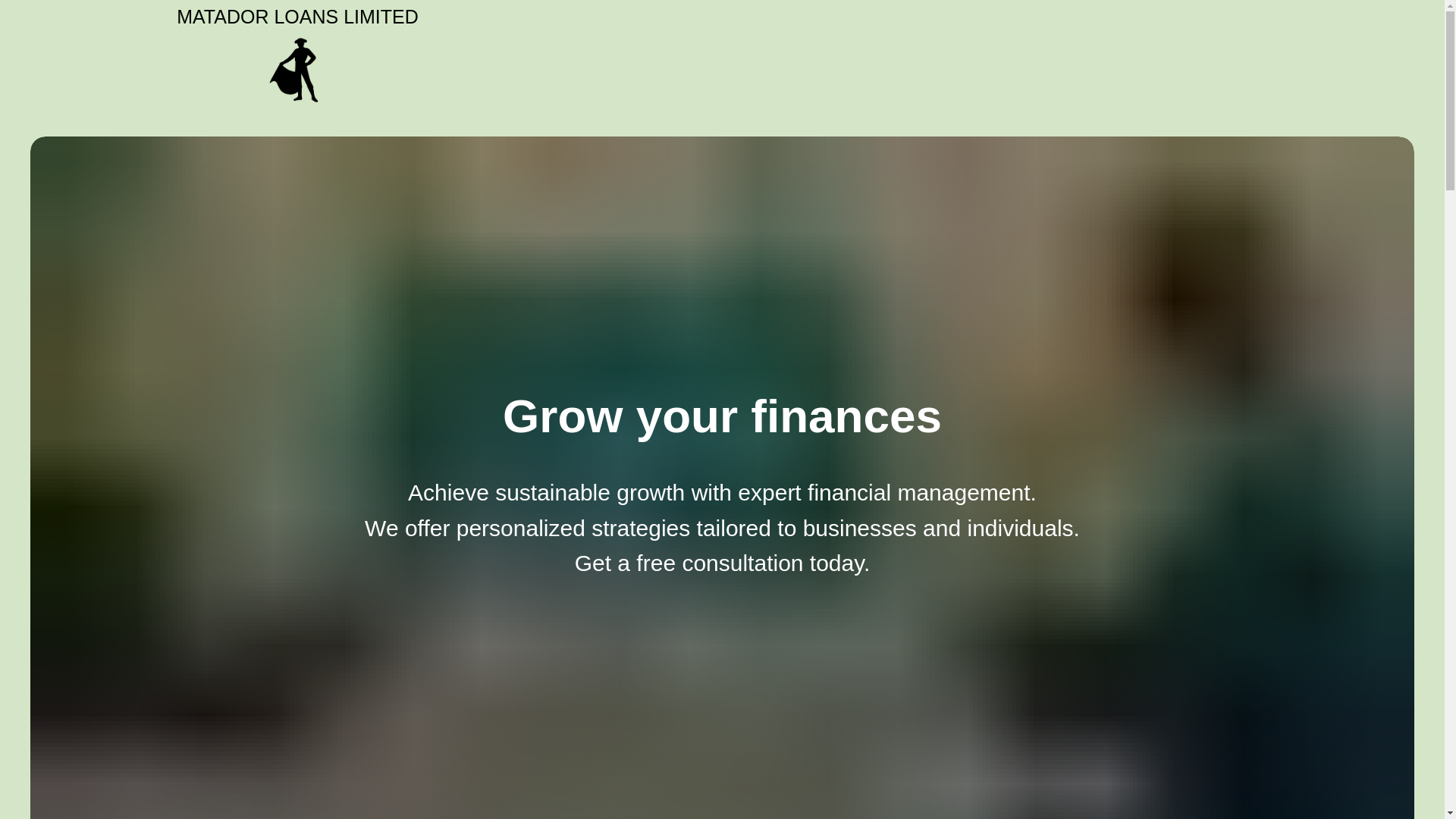 website screenshot of https://matador-loans.com/